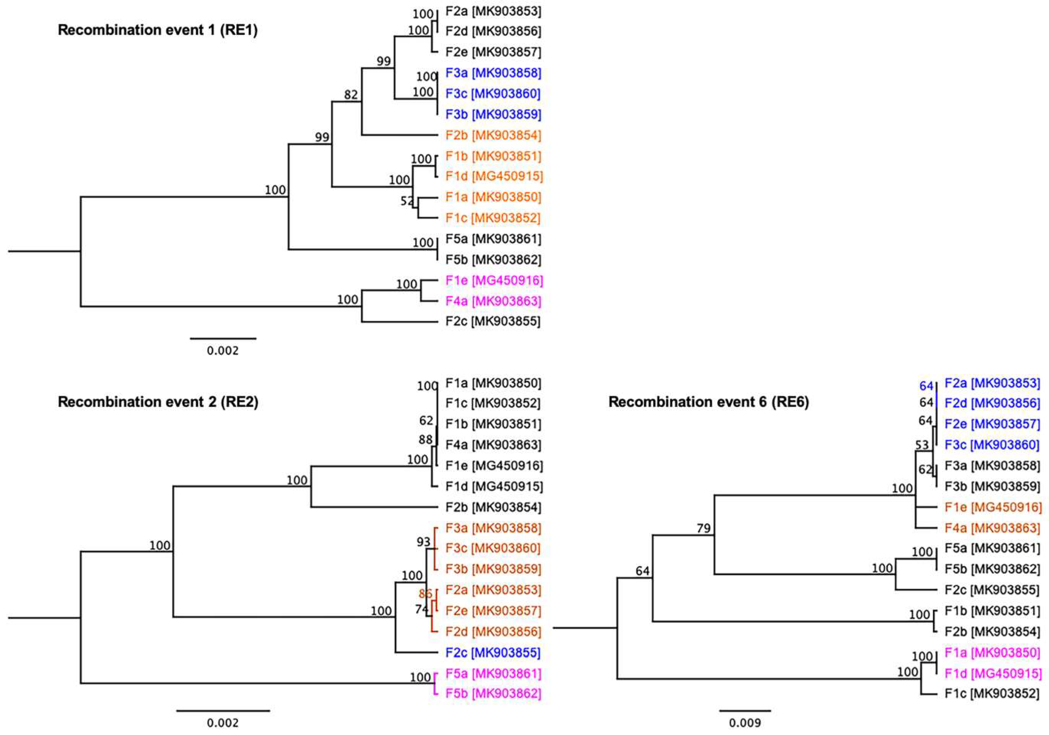 Viruses 11 01116 g008 Viruses 11 01116 g008