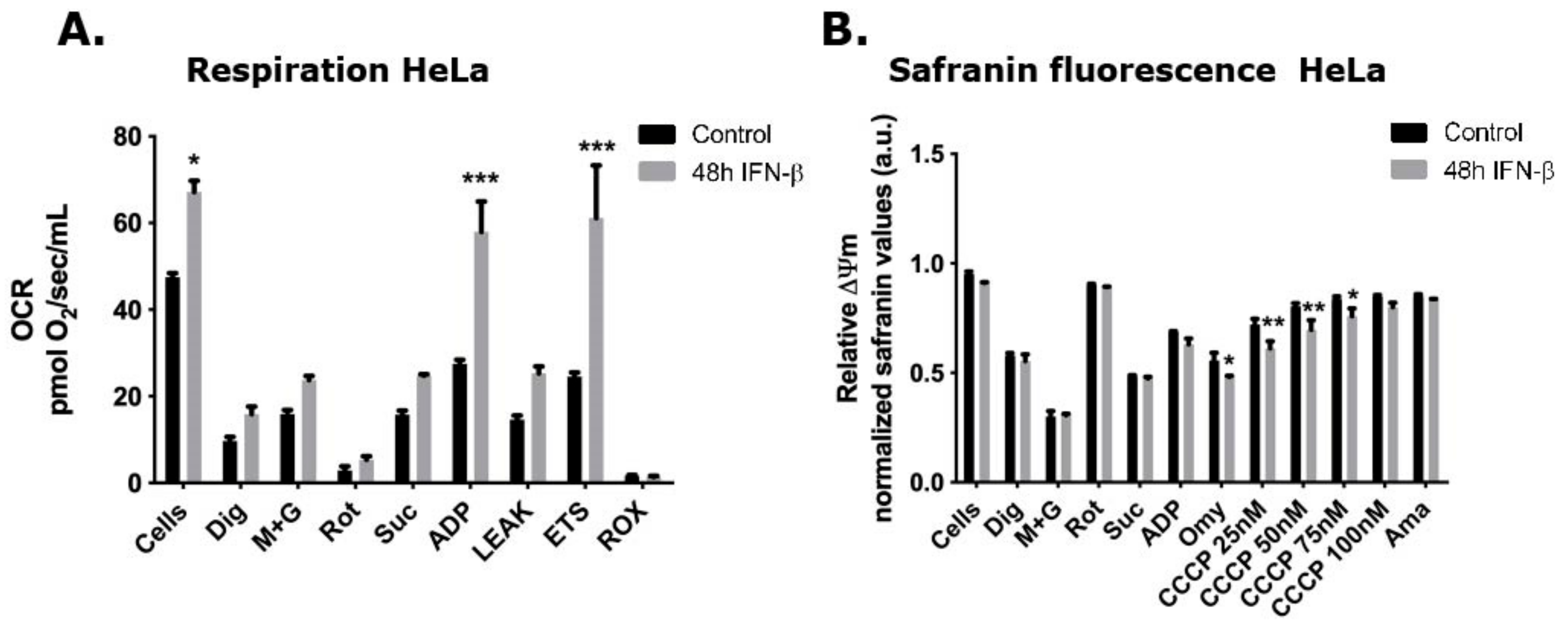Viruses 11 01122 g003