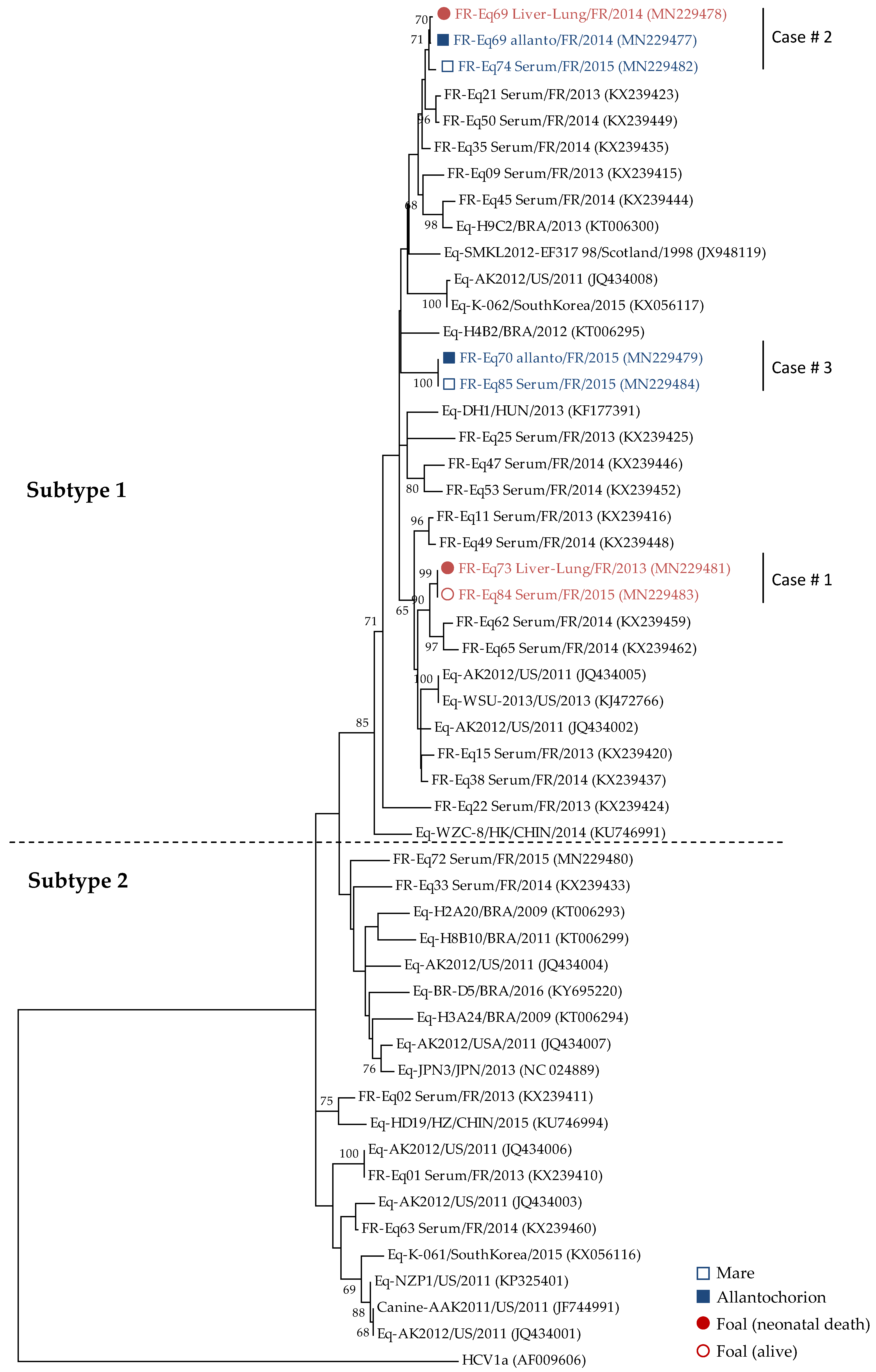 Viruses 11 01124 g002