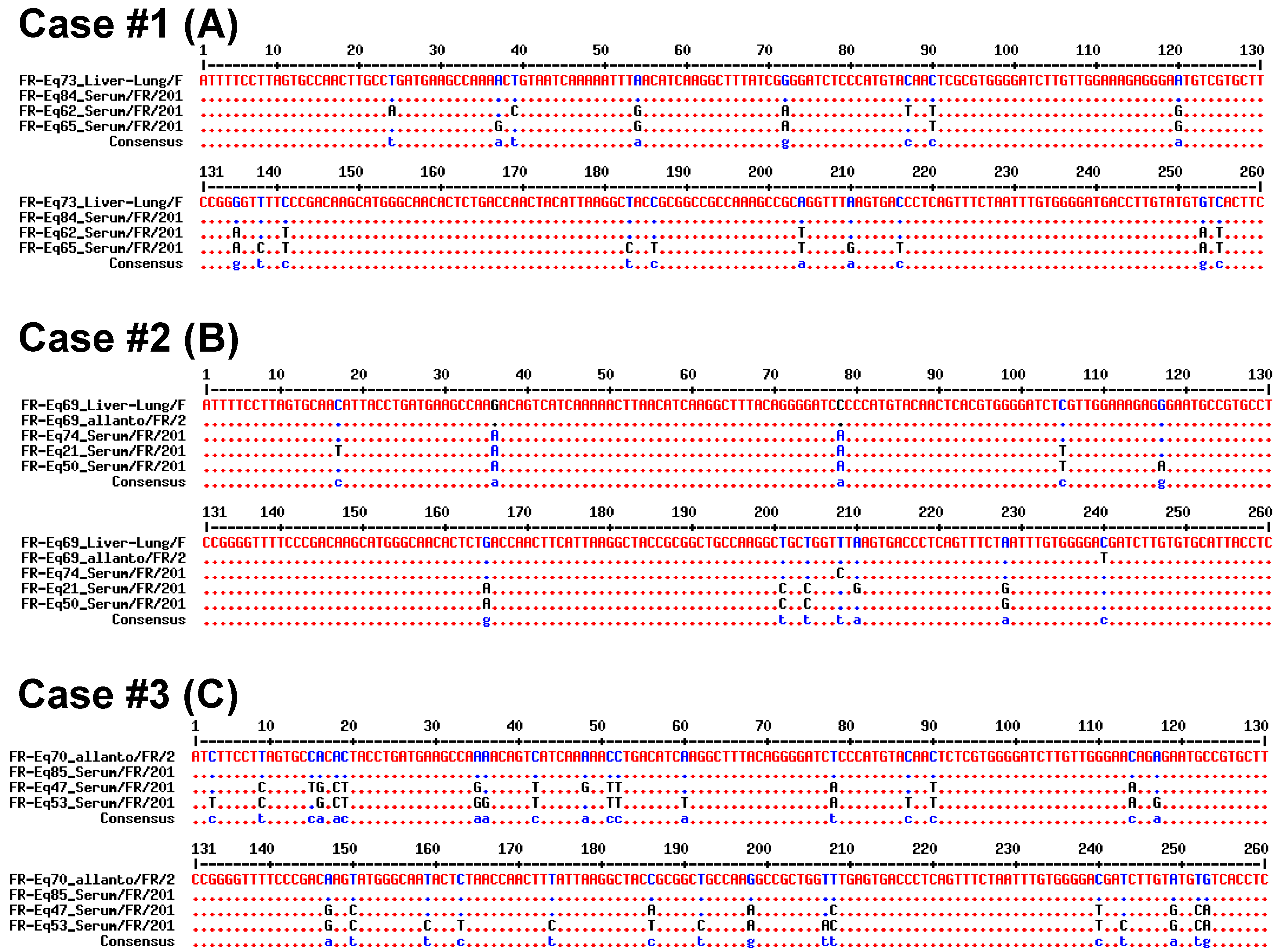 Viruses 11 01124 g003