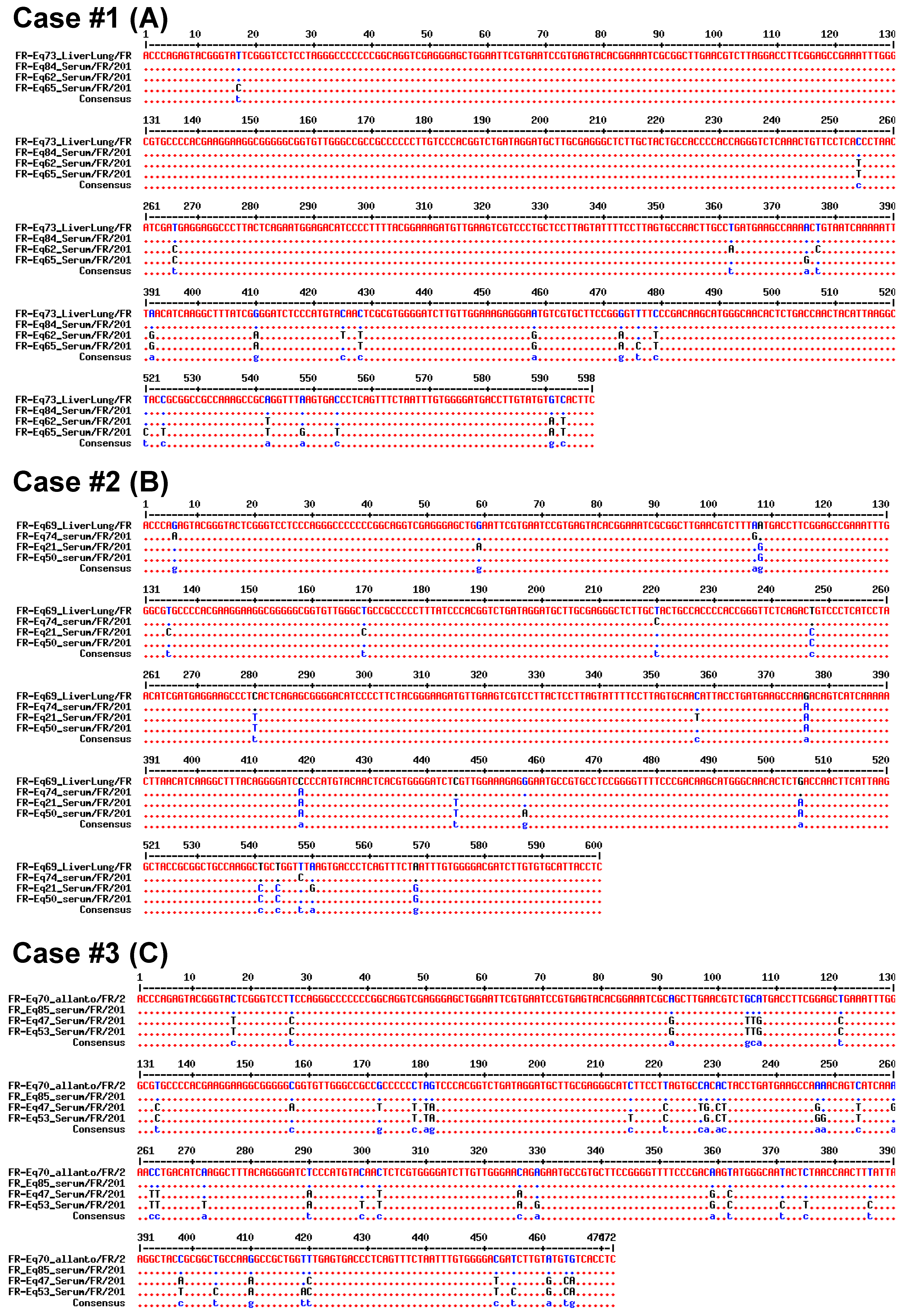 Viruses 11 01124 g004