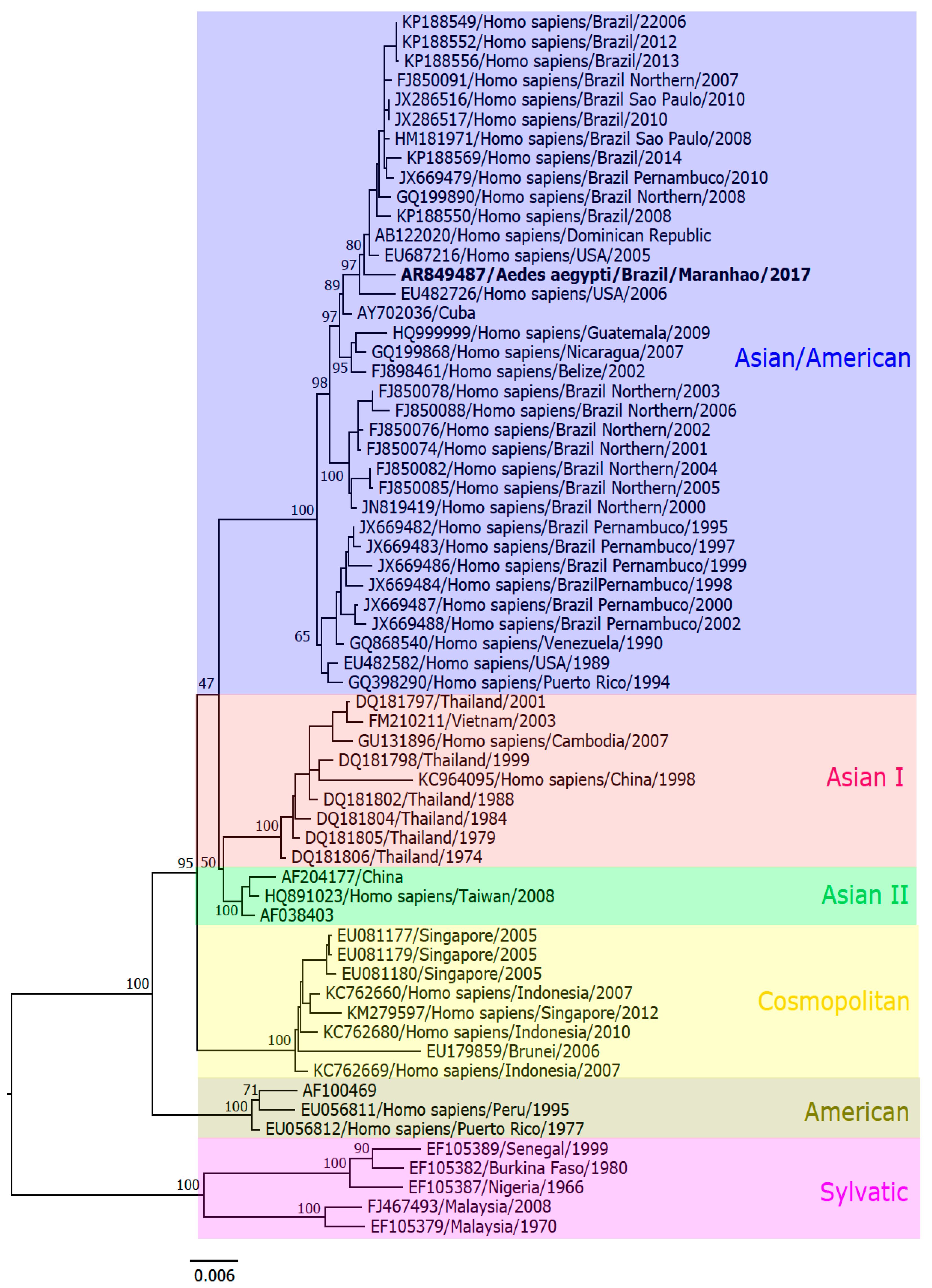 Viruses 11 01126 g004 Viruses 11 01126 g004
