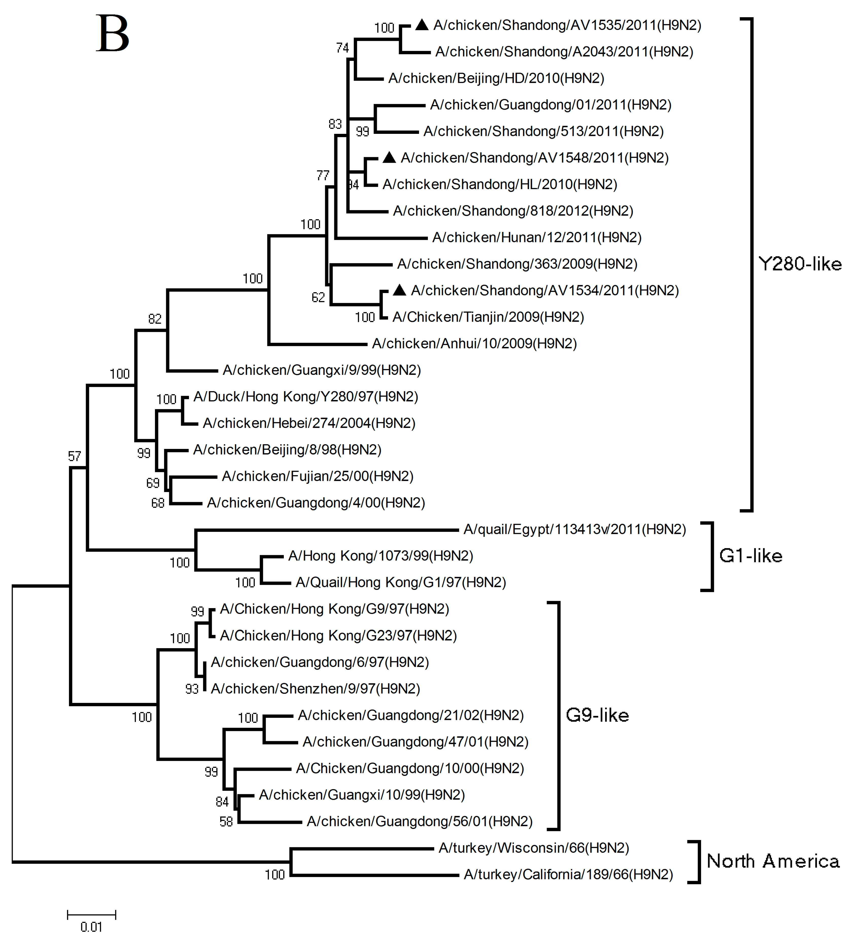 Viruses 11 01127 g001b Viruses 11 01127 g001b