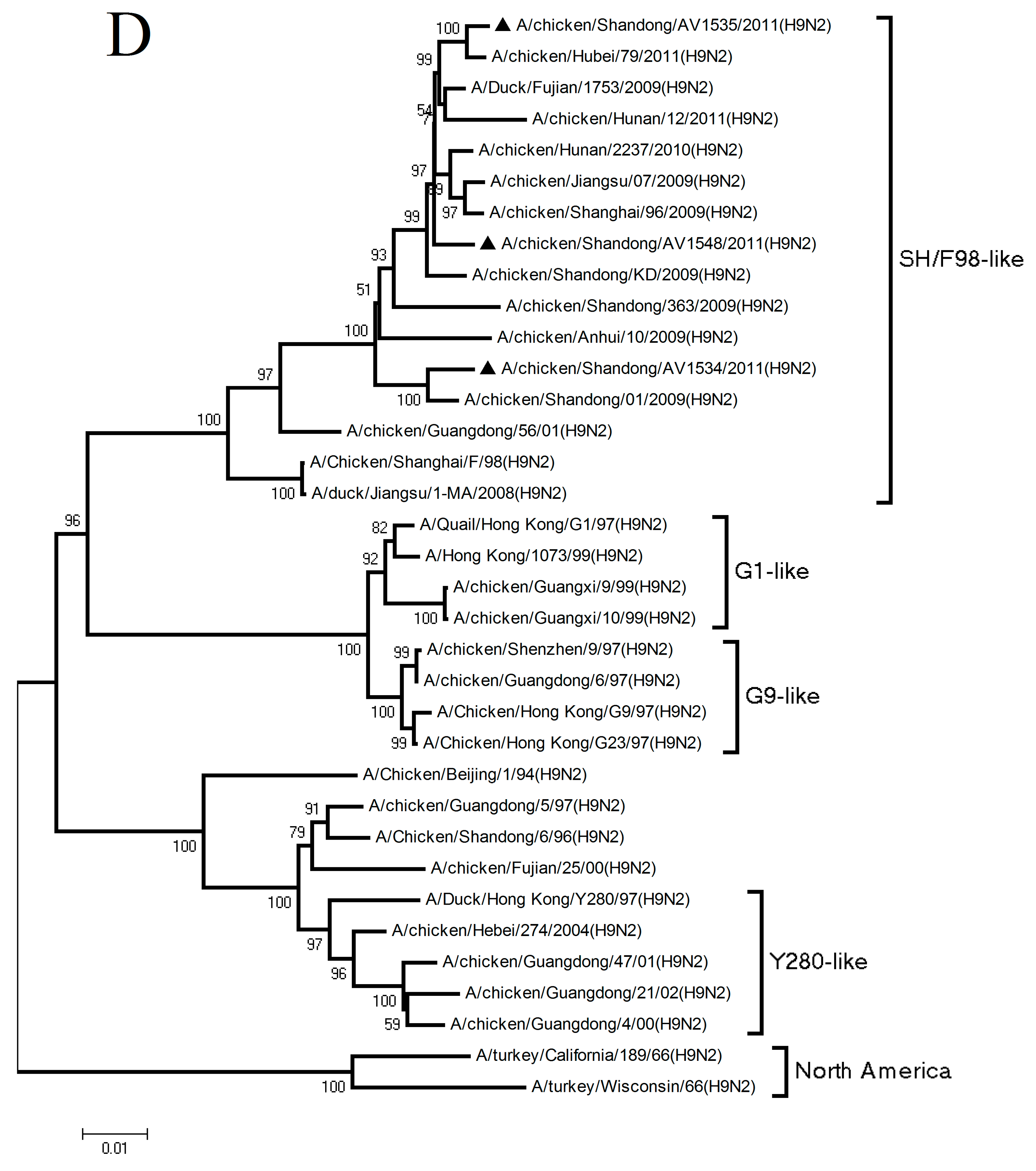 Viruses 11 01127 g001d Viruses 11 01127 g001d