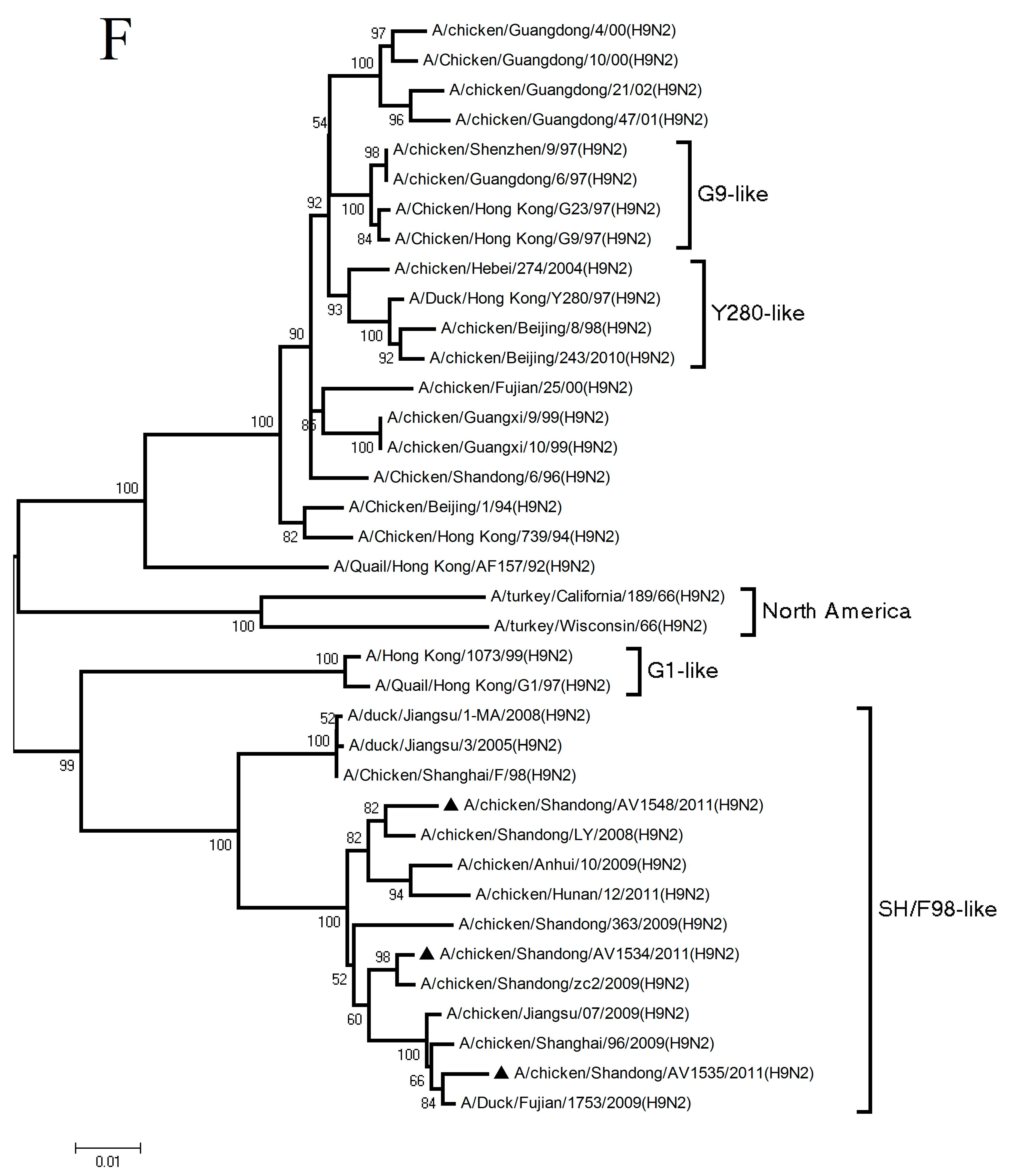 Viruses 11 01127 g001f Viruses 11 01127 g001f