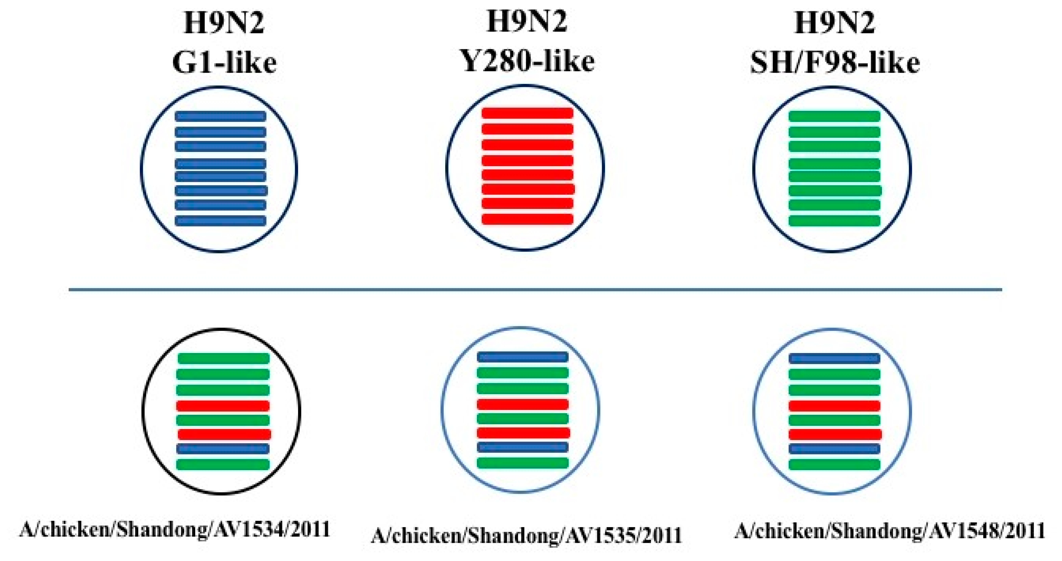 Viruses 11 01127 g002 Viruses 11 01127 g002