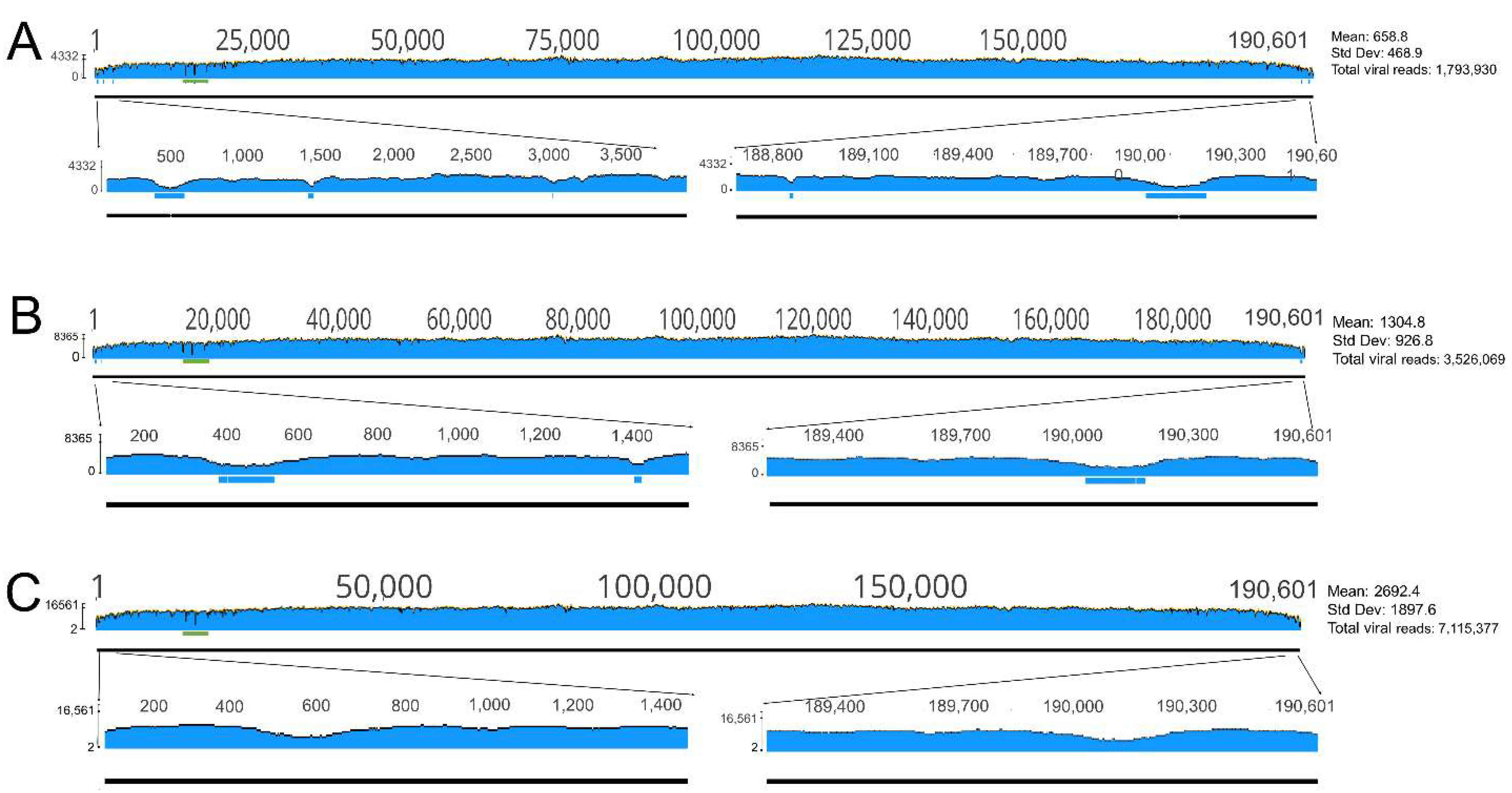Viruses 11 01129 g003