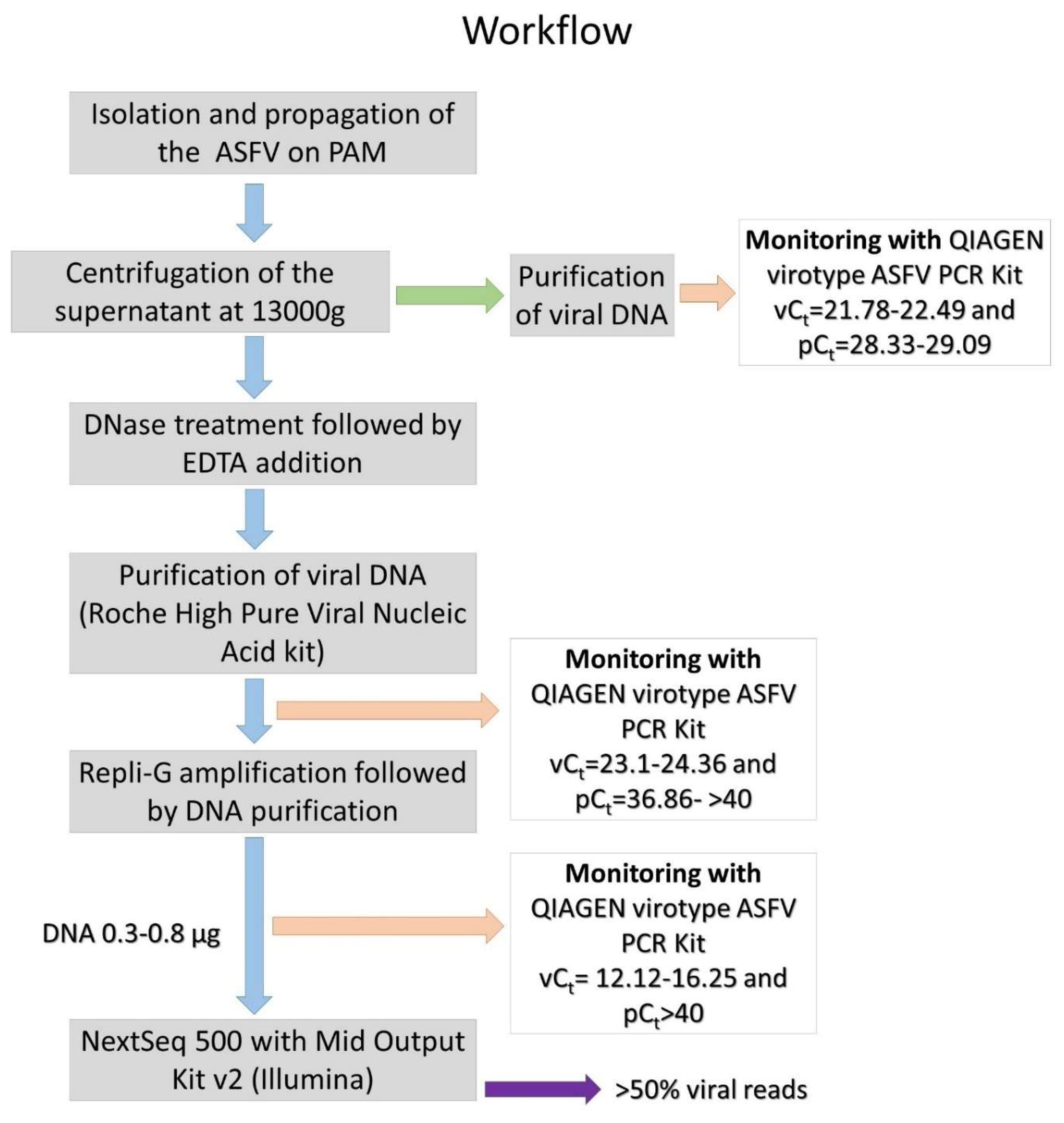 Viruses 11 01129 g005