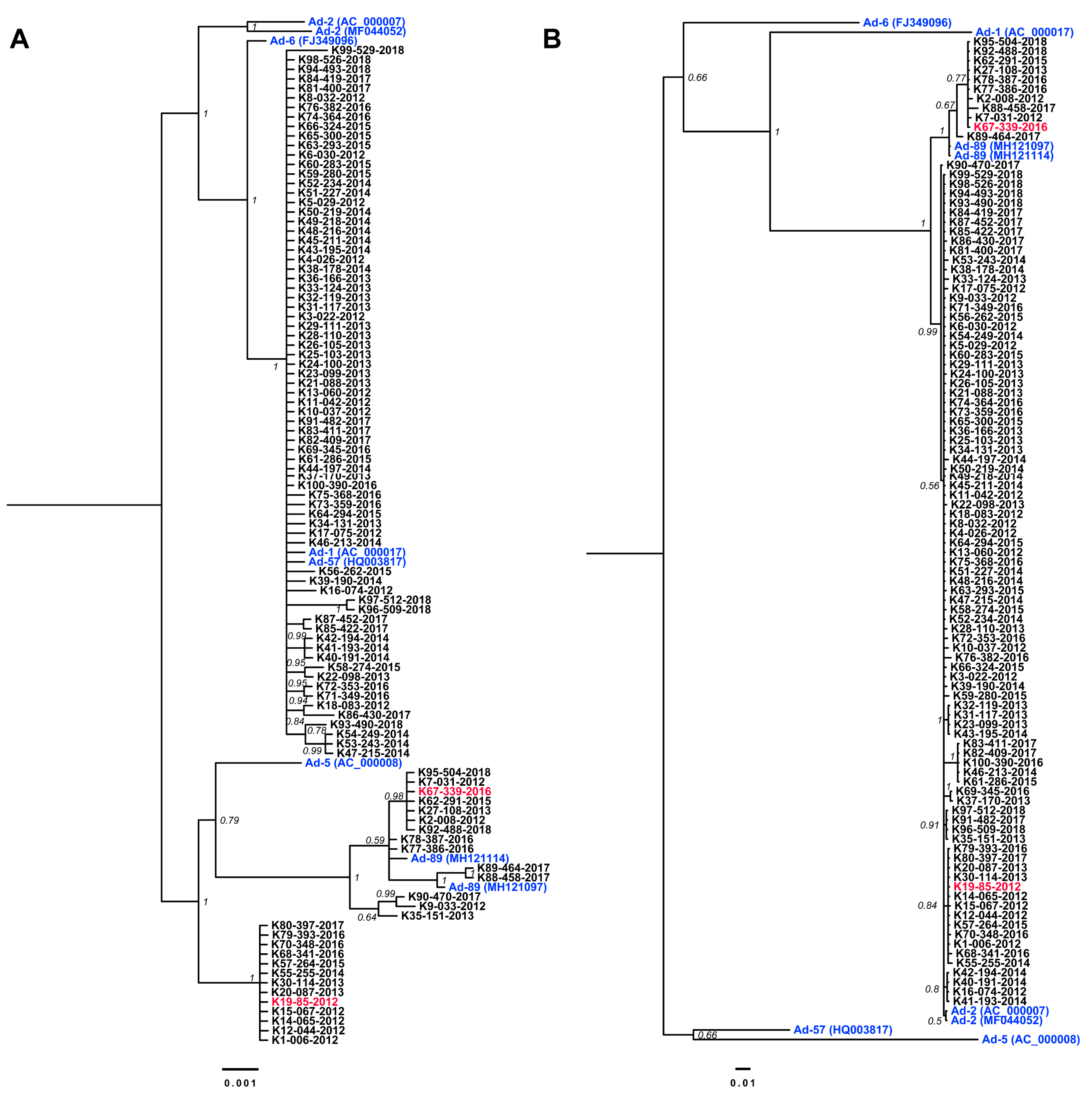 Viruses 11 01131 g002 Viruses 11 01131 g002