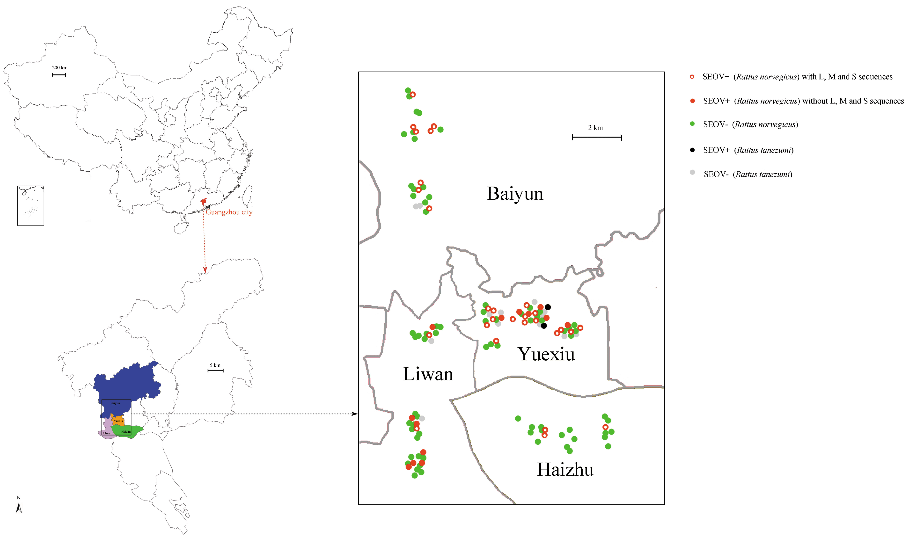 Viruses 11 01137 g001