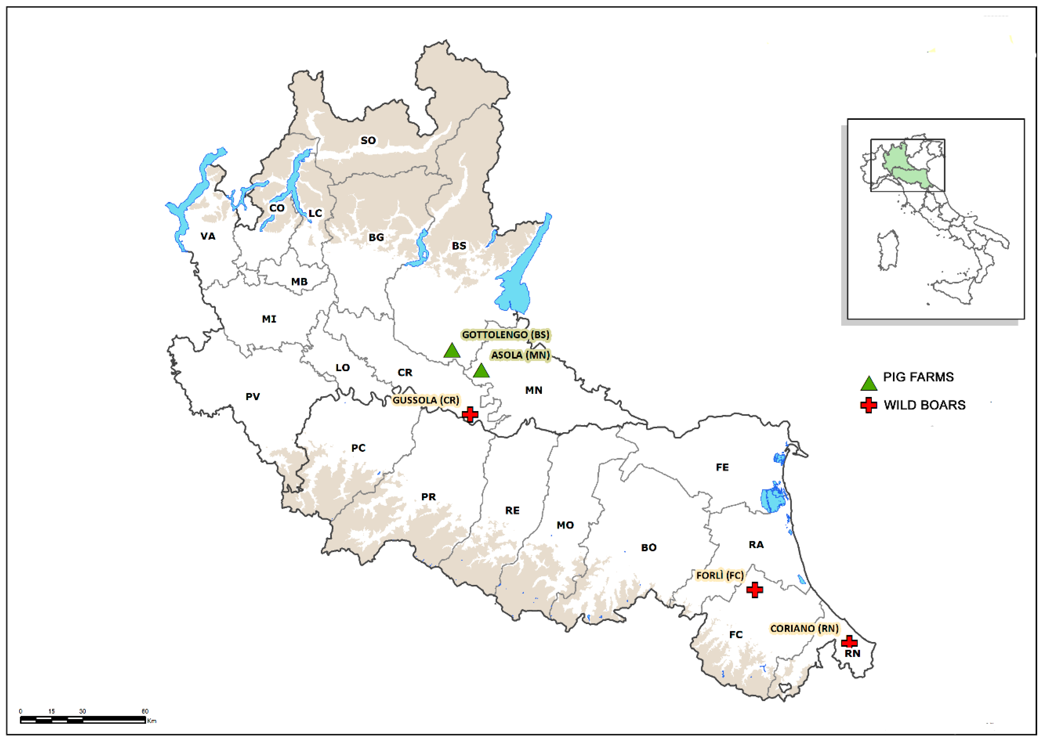 Viruses 11 01142 g001