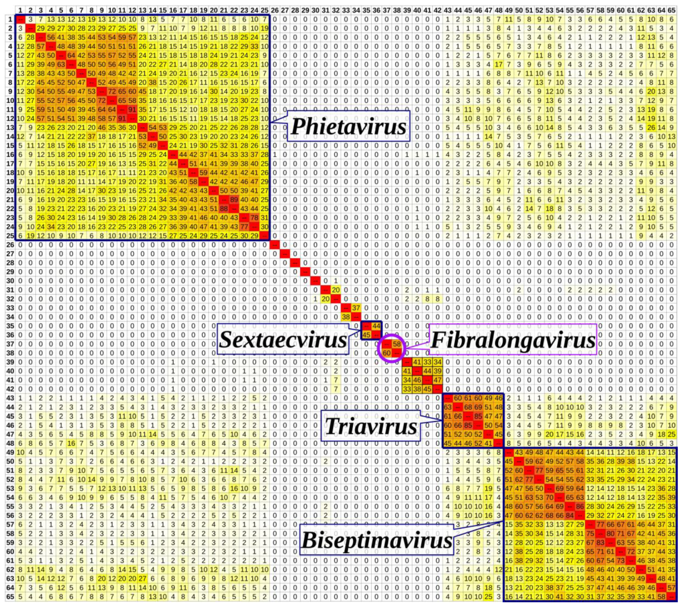 Viruses 11 01143 g006