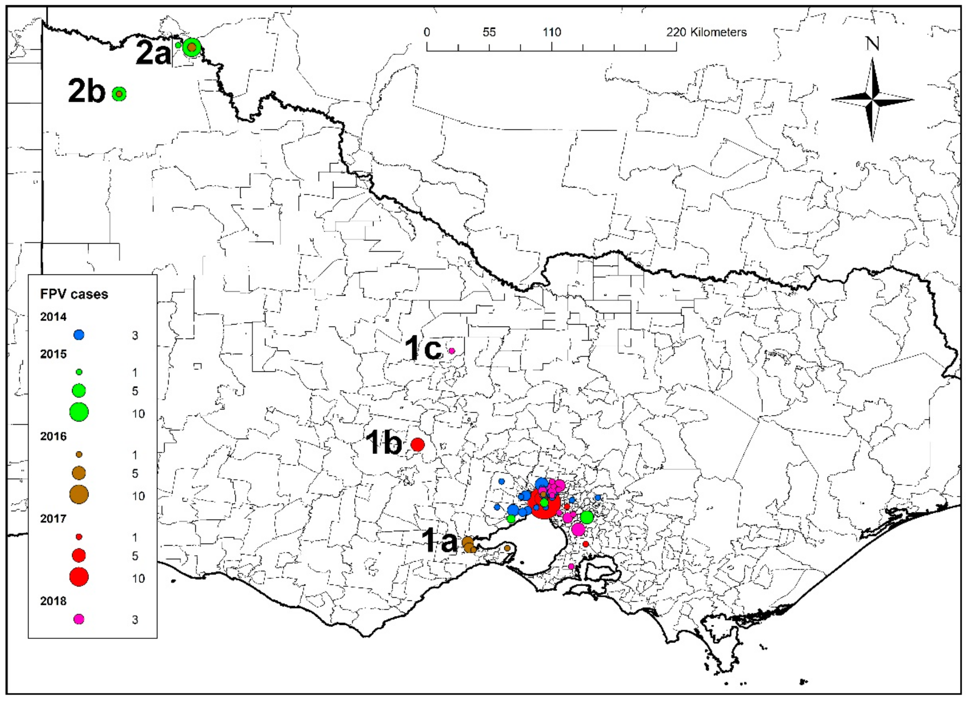 Viruses 11 01155 g002 Viruses 11 01155 g002