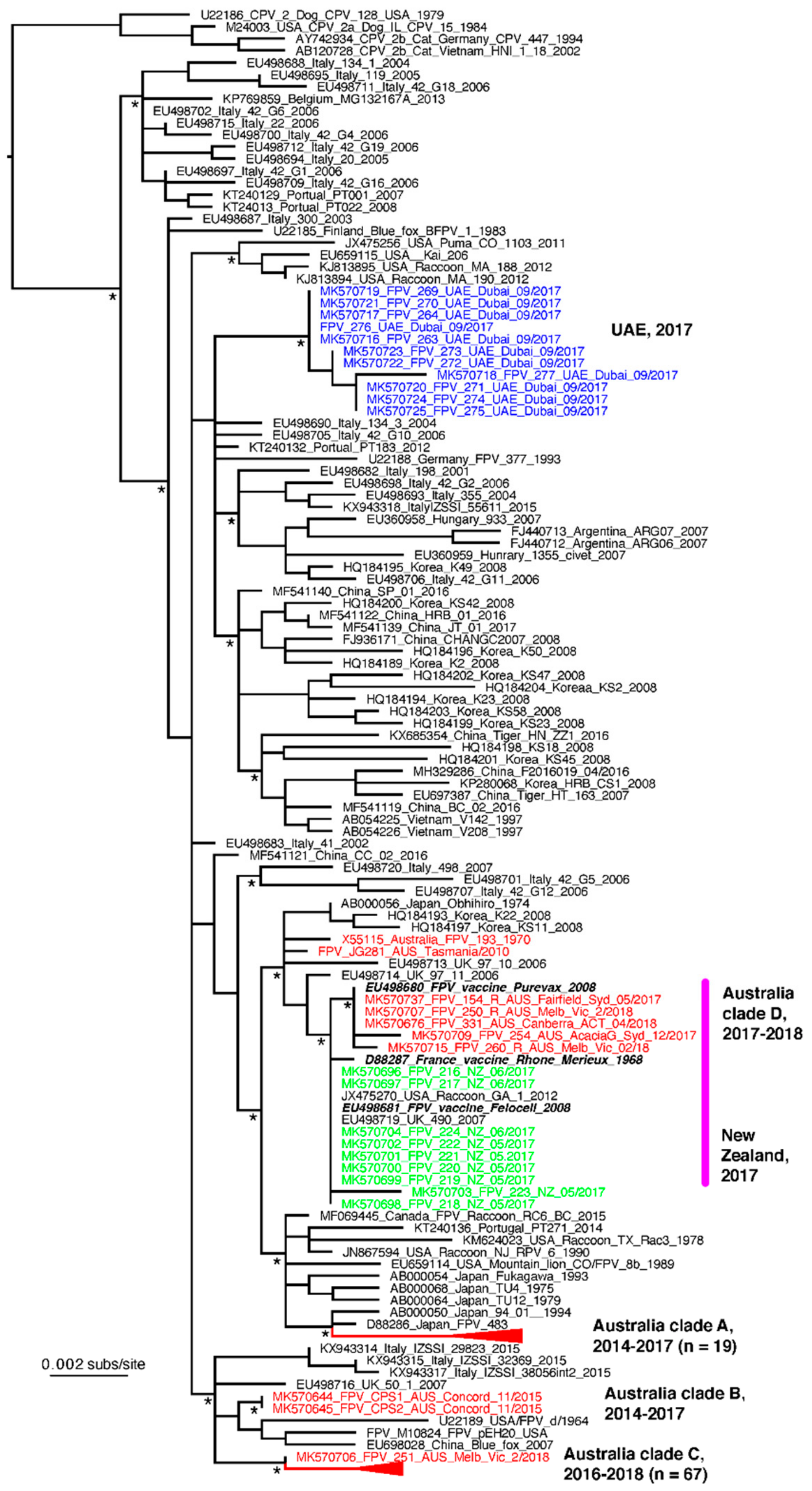 Viruses 11 01155 g006 Viruses 11 01155 g006