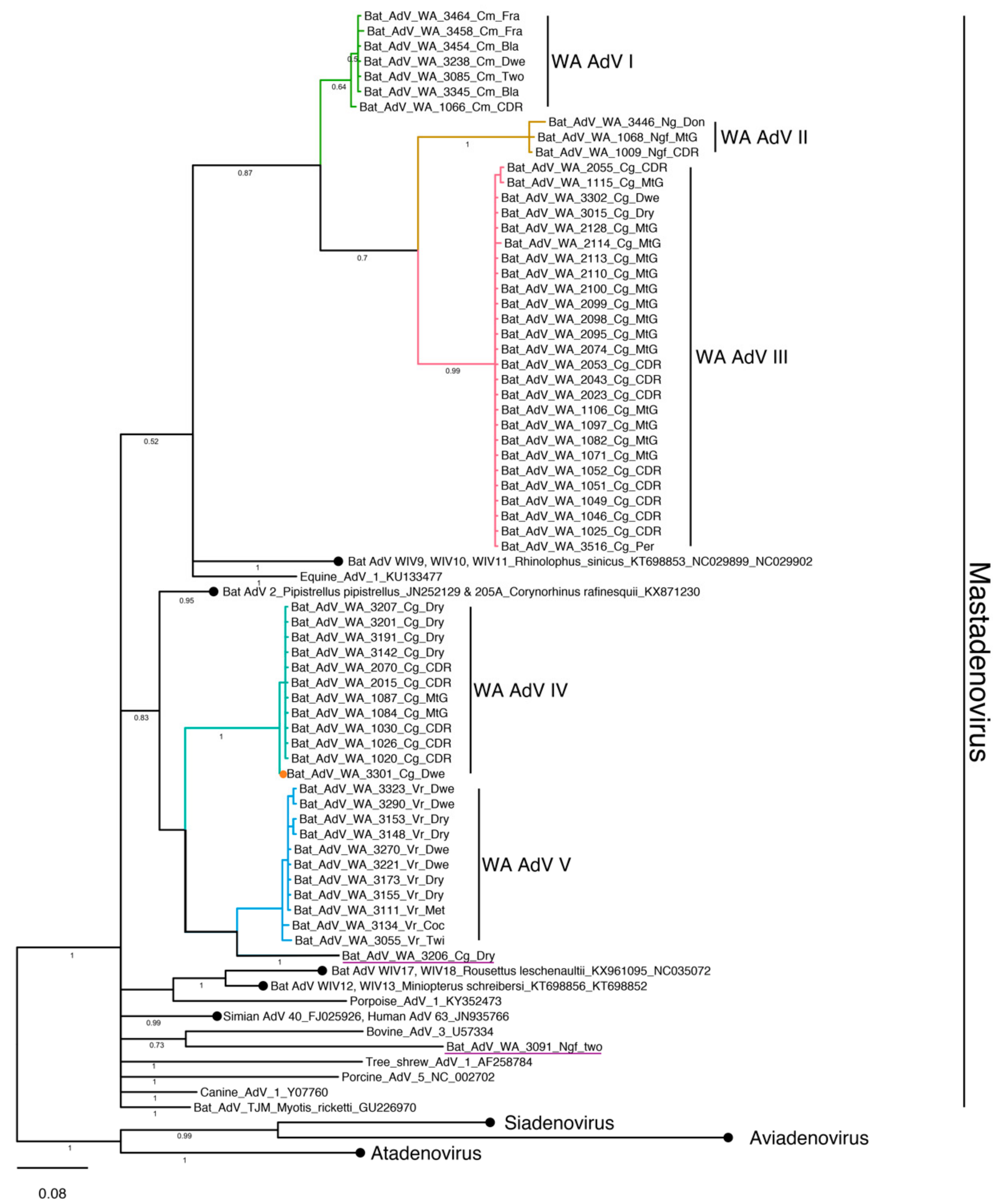 Viruses 11 01157 g002 Viruses 11 01157 g002