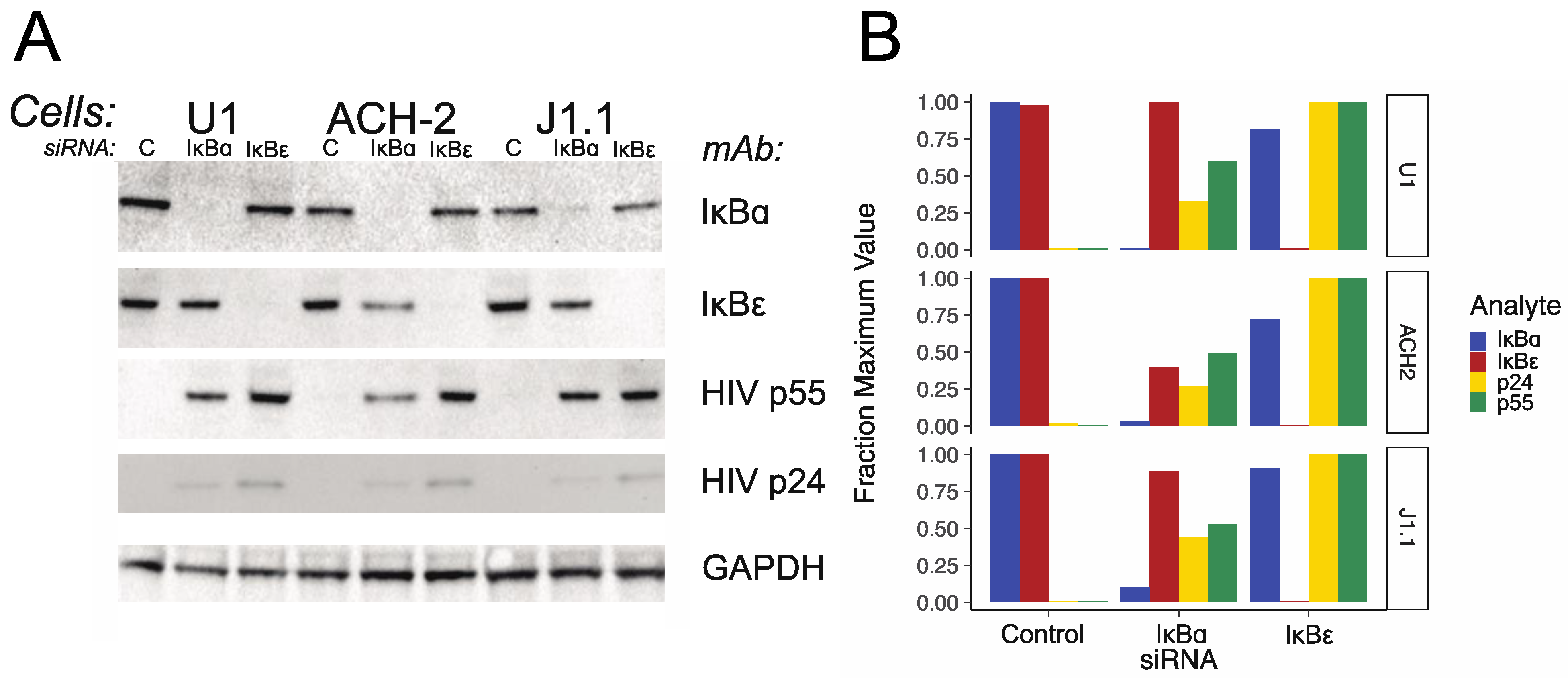 Viruses 11 01162 g002 Viruses 11 01162 g002