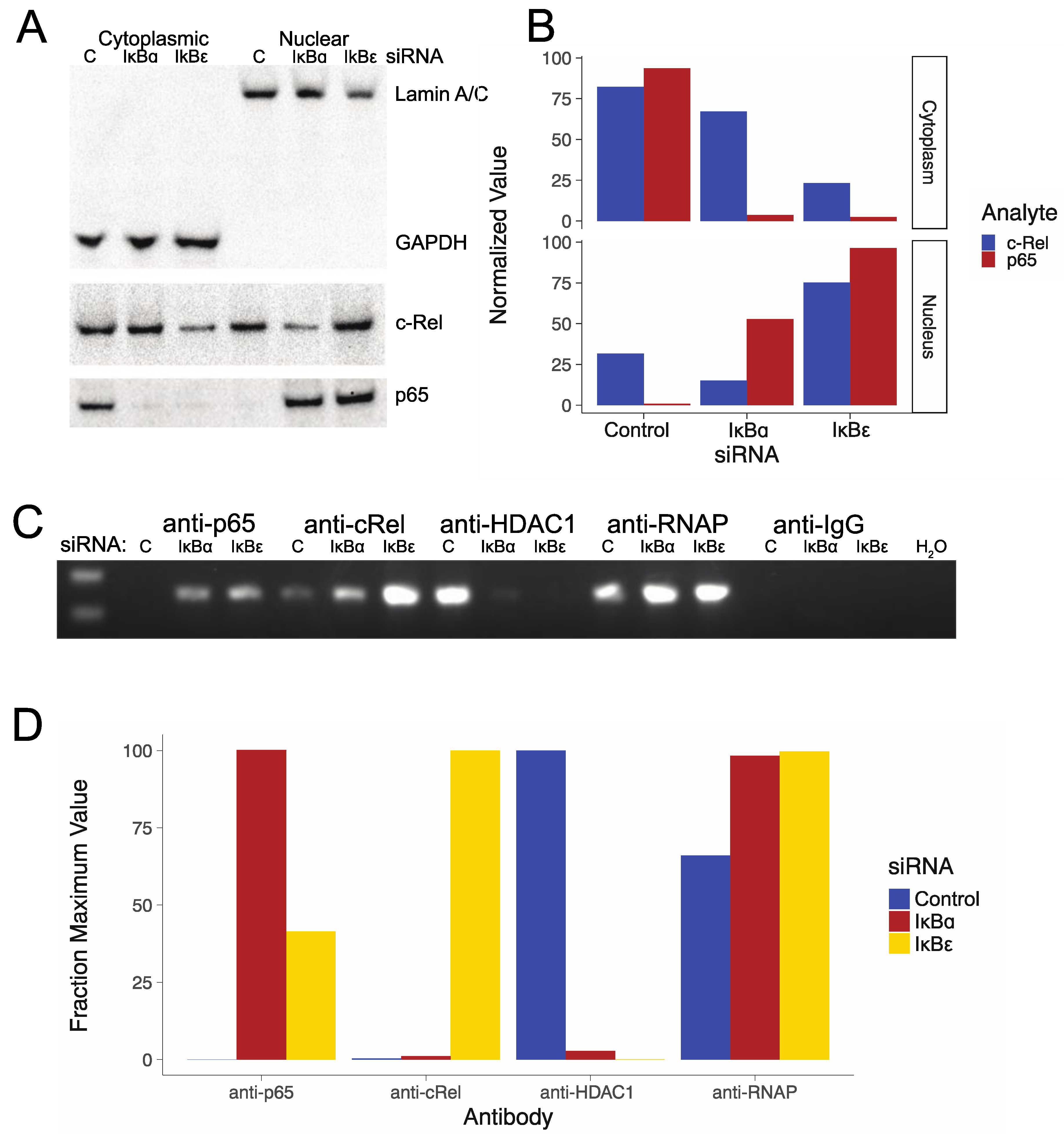 Viruses 11 01162 g003 Viruses 11 01162 g003