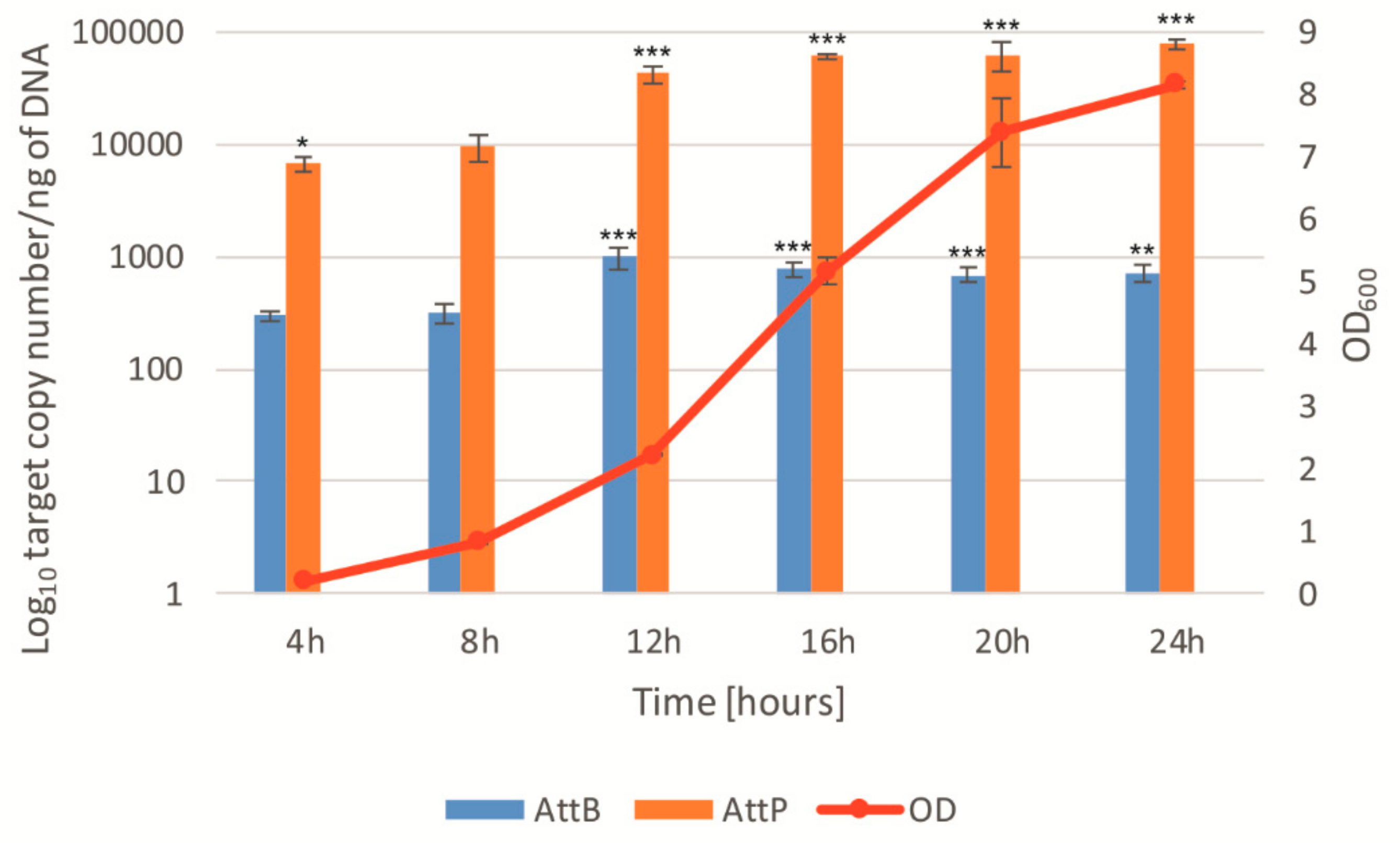 Viruses 11 01163 g006 Viruses 11 01163 g006