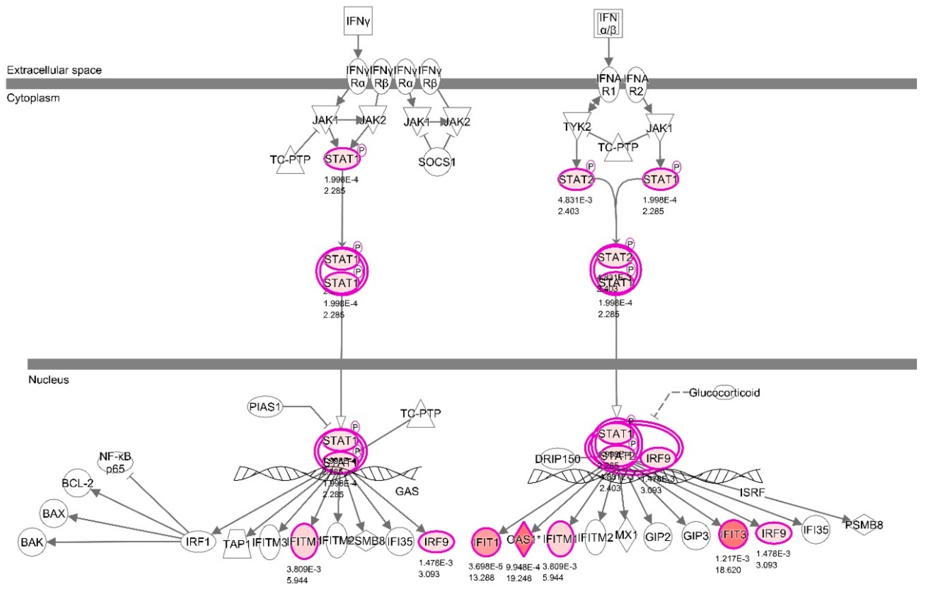 Viruses 12 00001 g002