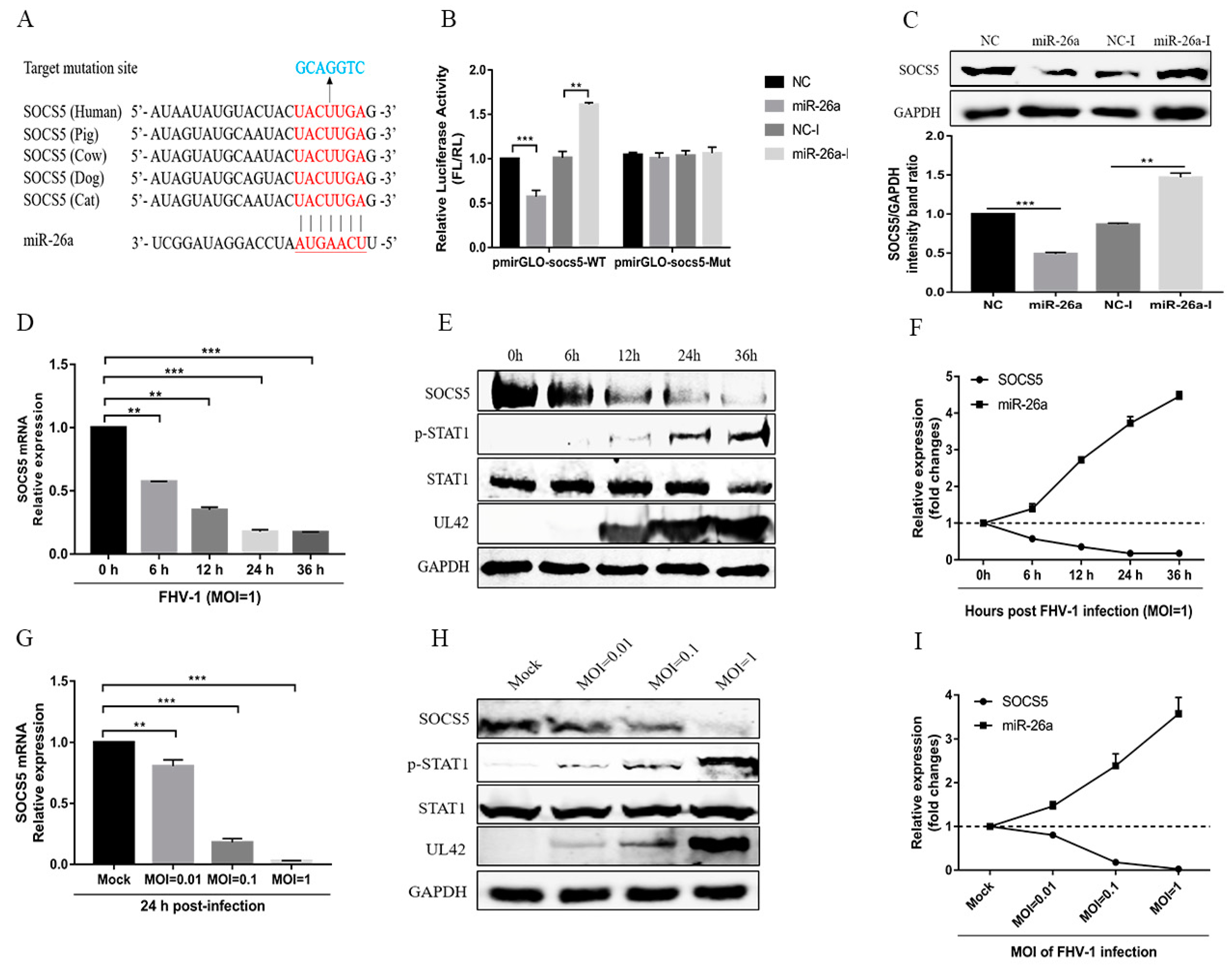 Viruses 12 00002 g004 Viruses 12 00002 g004