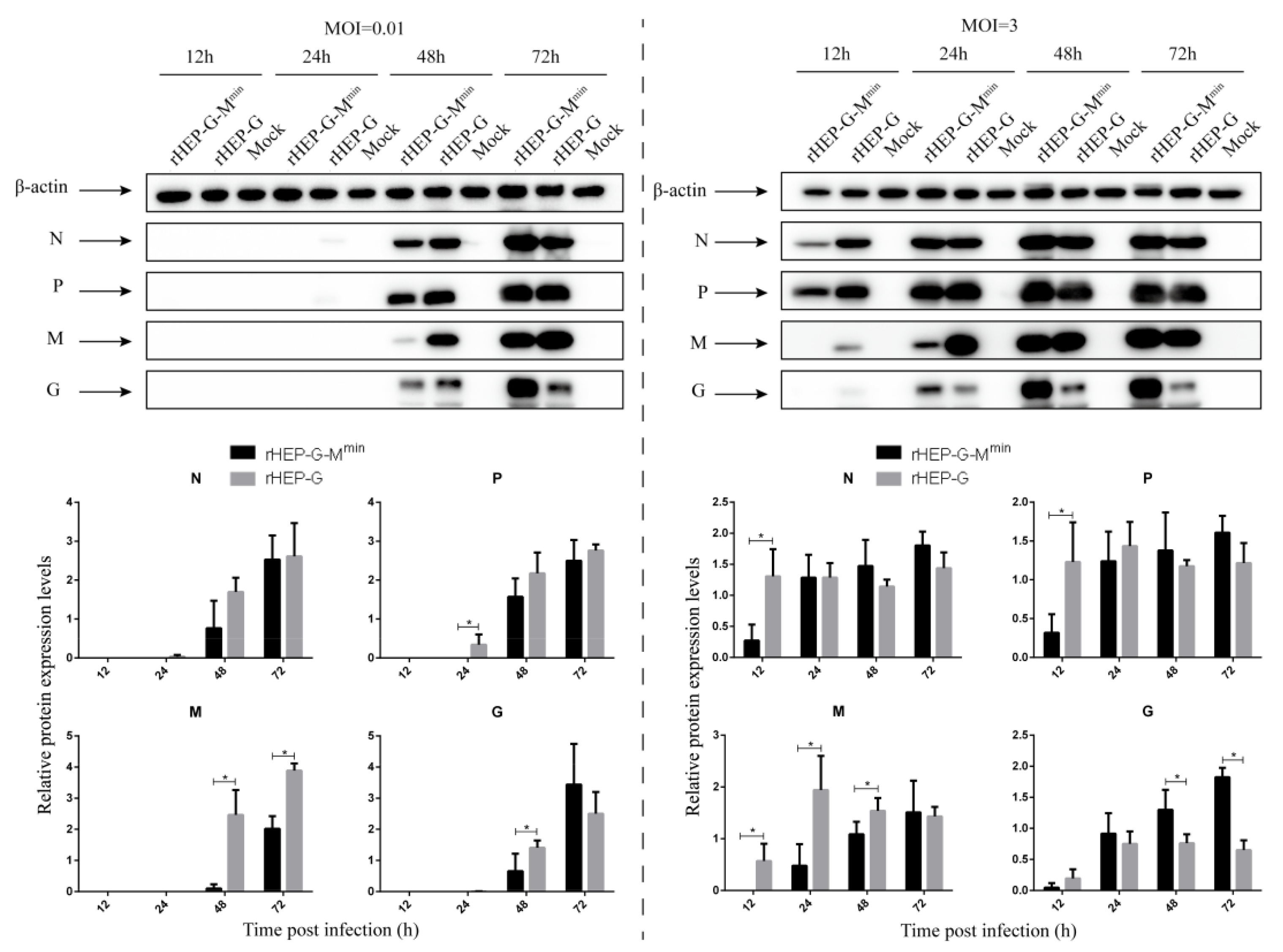 Viruses 12 00004 g004 Viruses 12 00004 g004