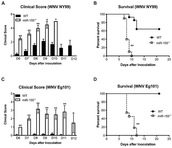 Cellular microRNA-155 Regulates Virus-Induced Inflammatory Response and Protects against Lethal West Nile Virus Infection