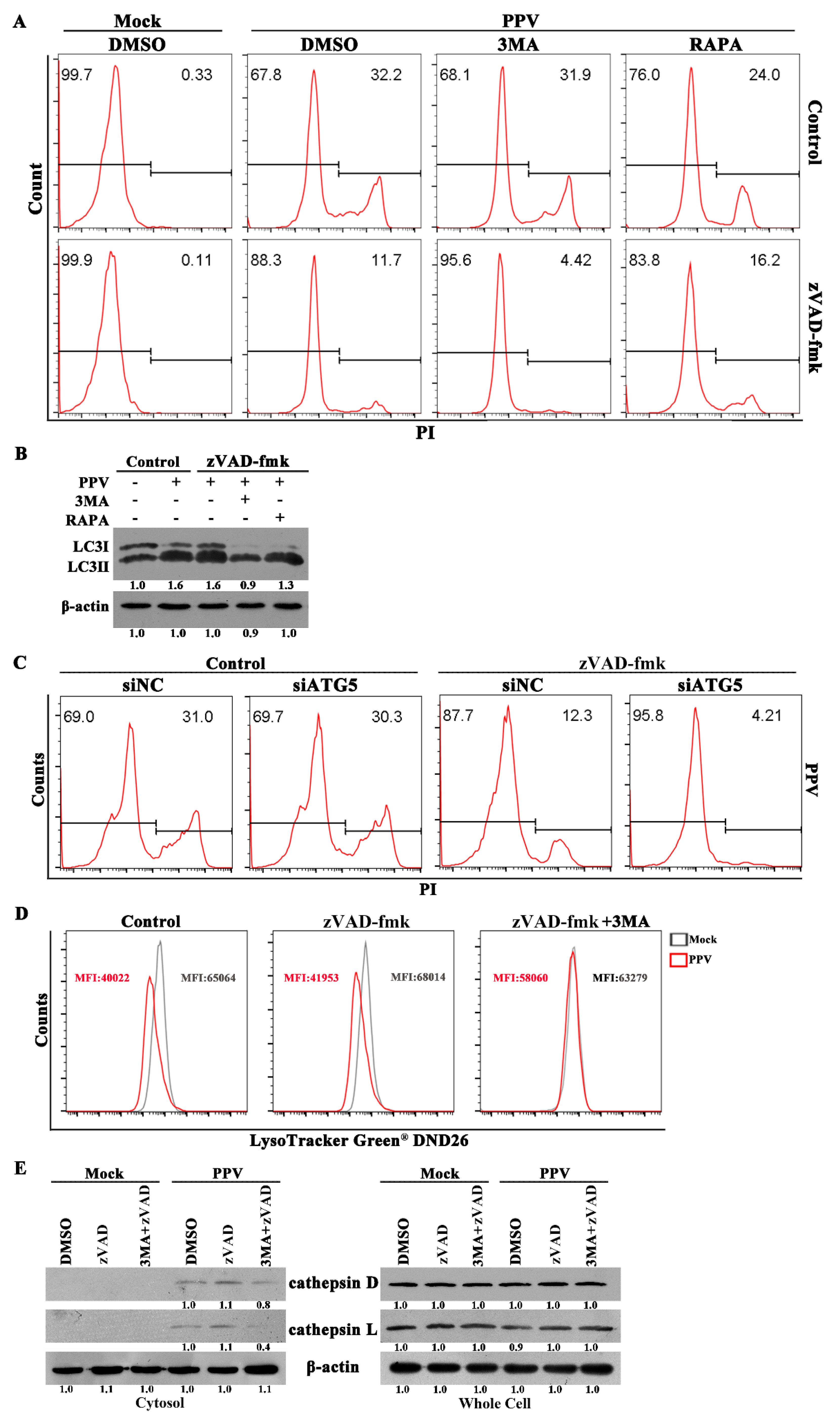 Viruses 12 00015 g004 Viruses 12 00015 g004