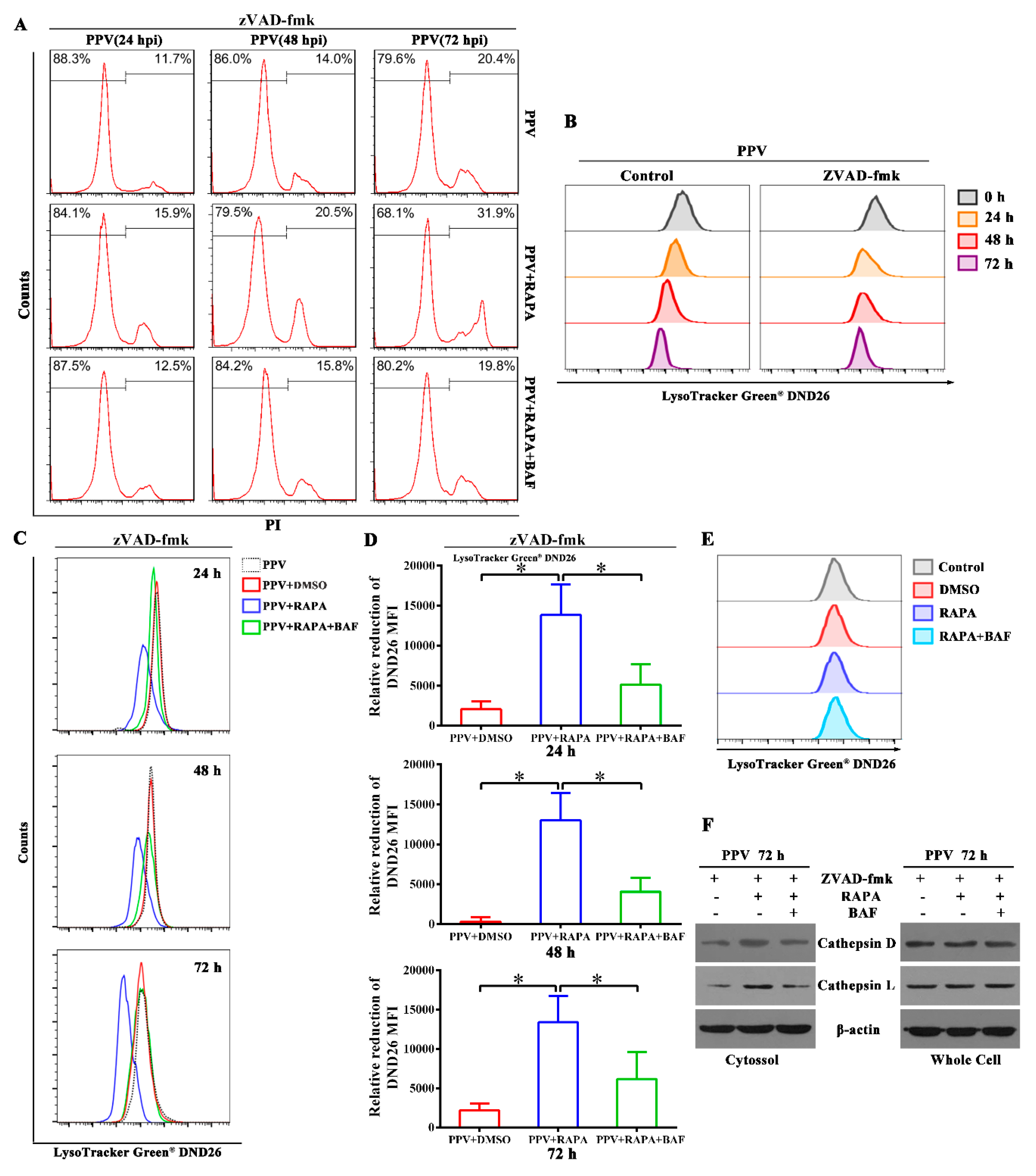 Viruses 12 00015 g005 Viruses 12 00015 g005