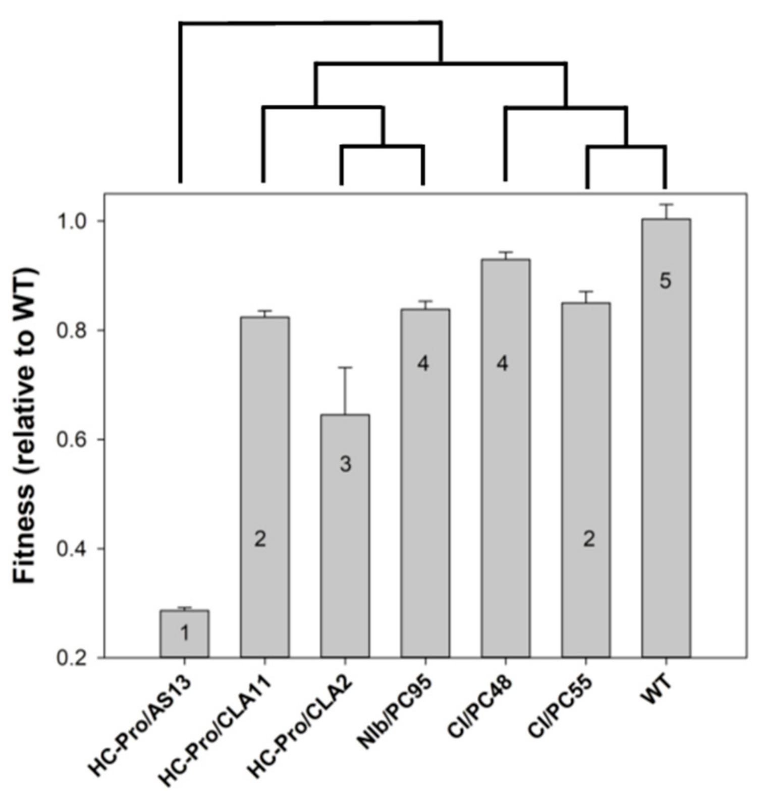 Viruses 12 00016 g002