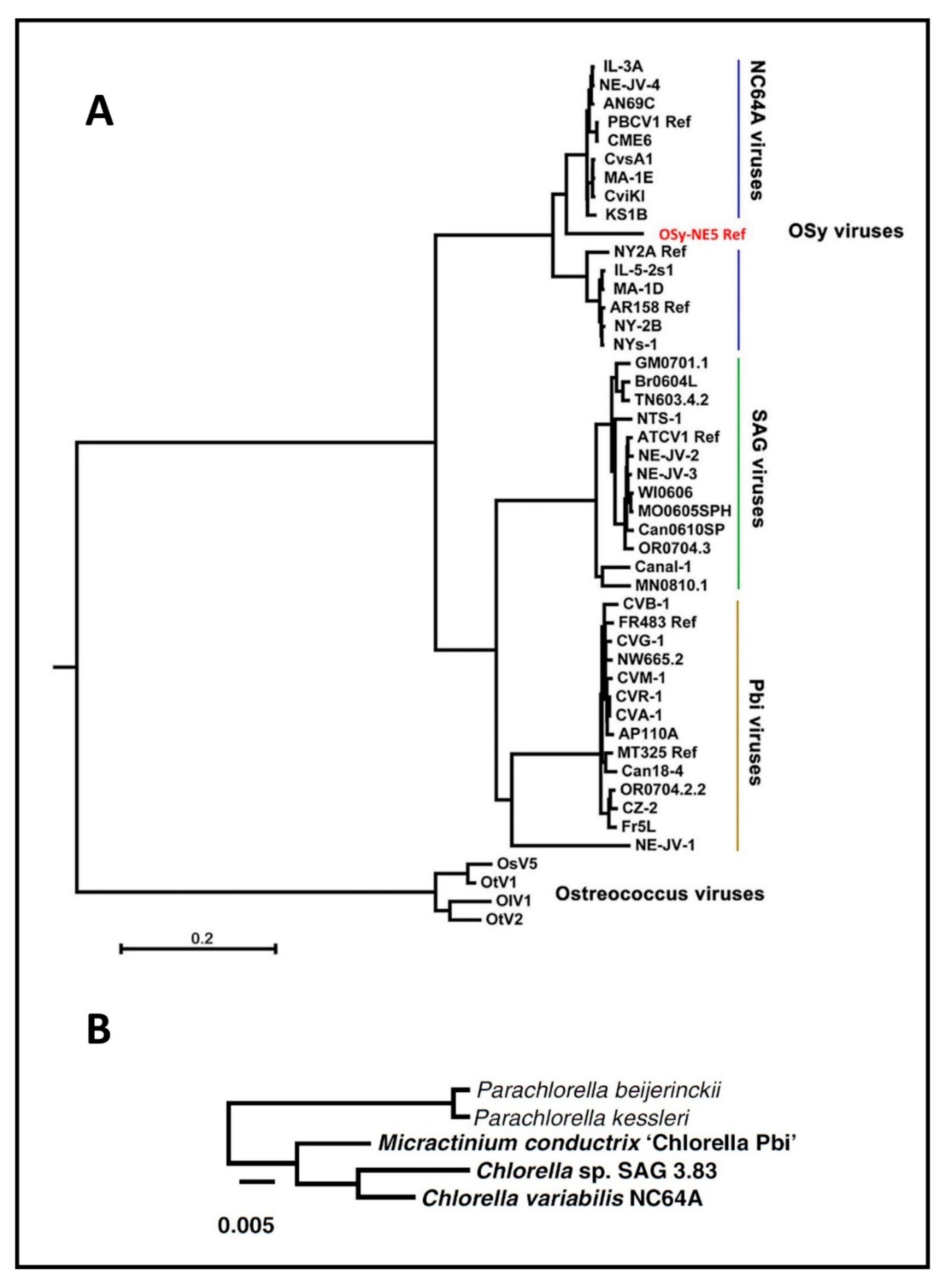 Viruses 12 00020 g013