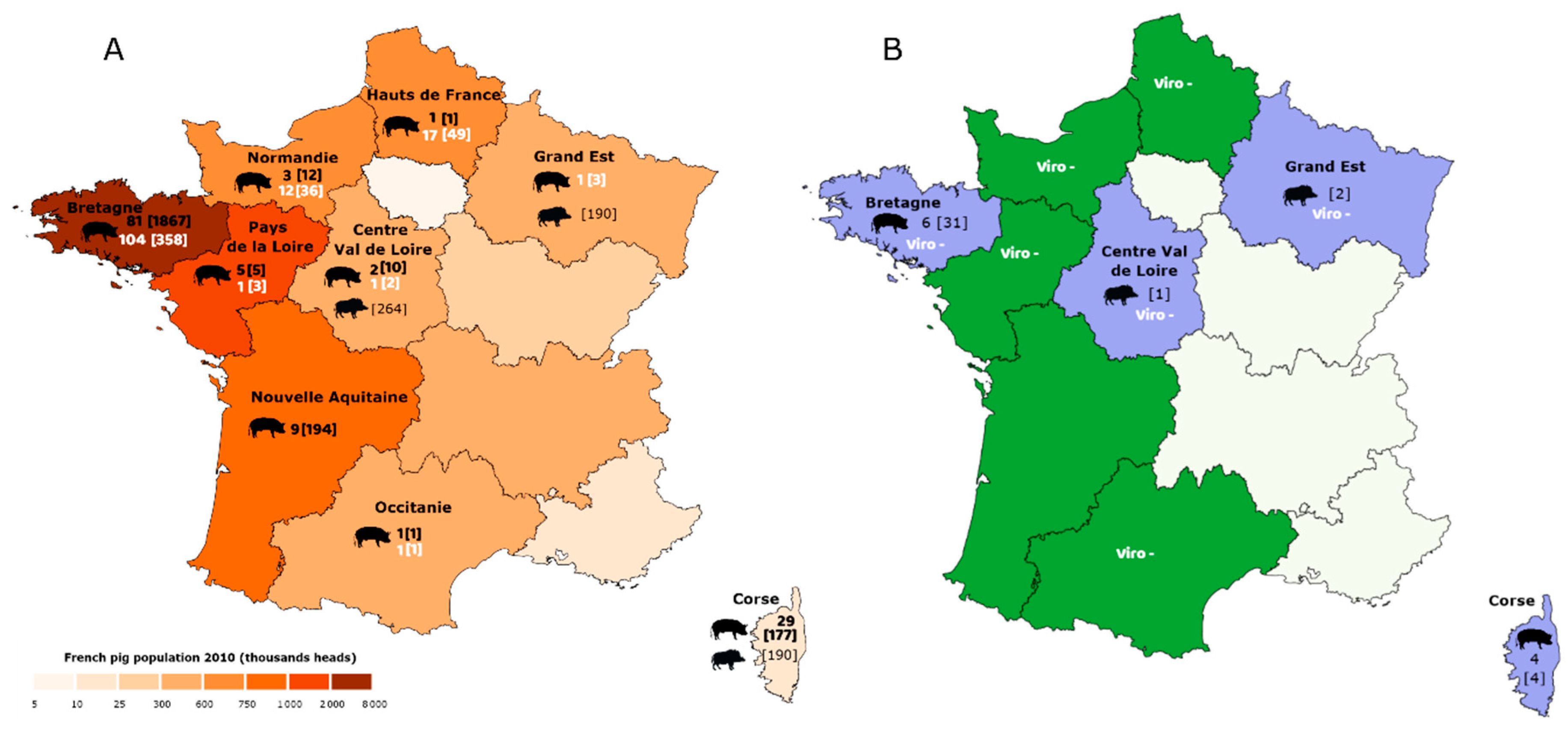 Viruses 12 00025 g001