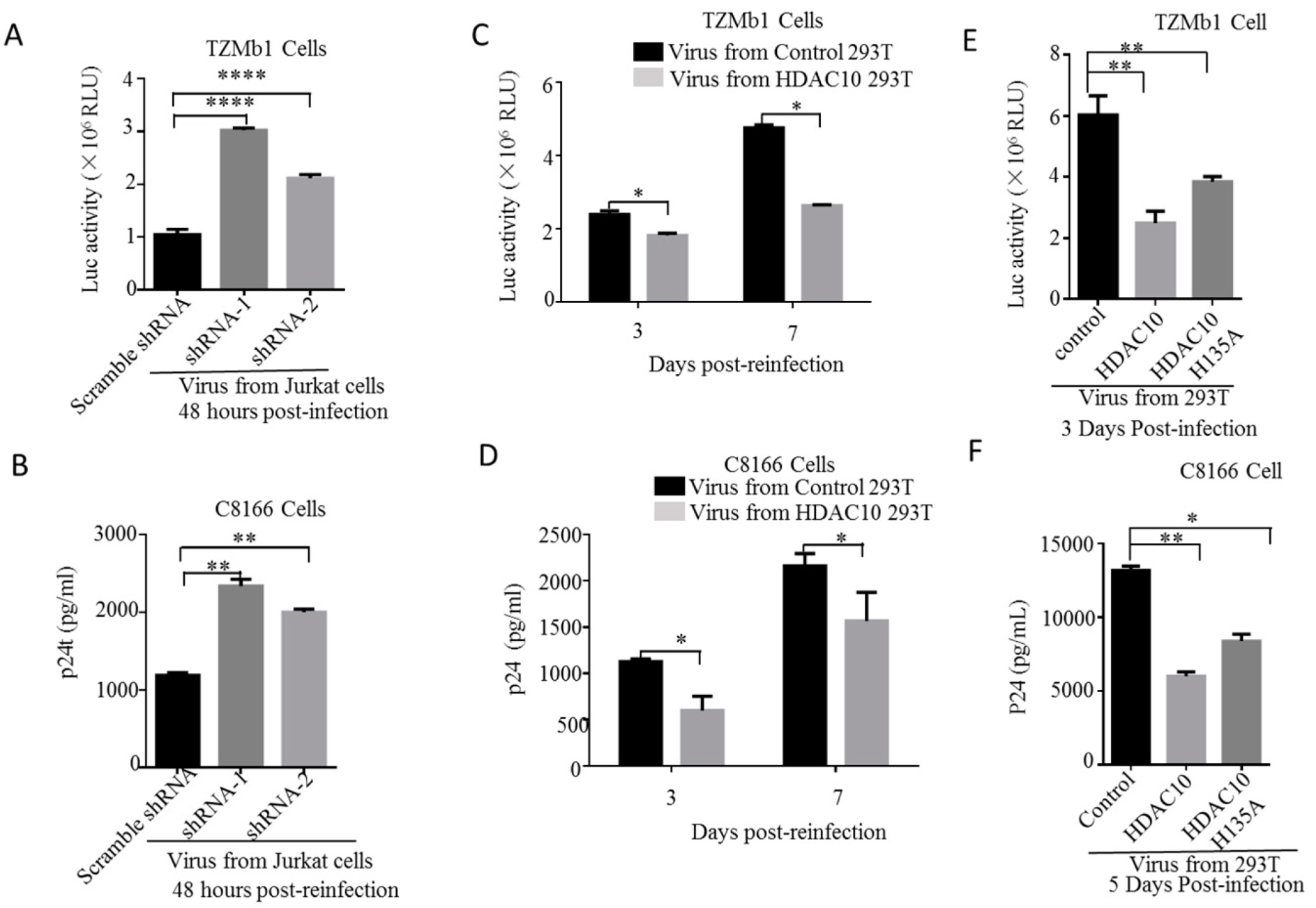 Viruses 12 00028 g006