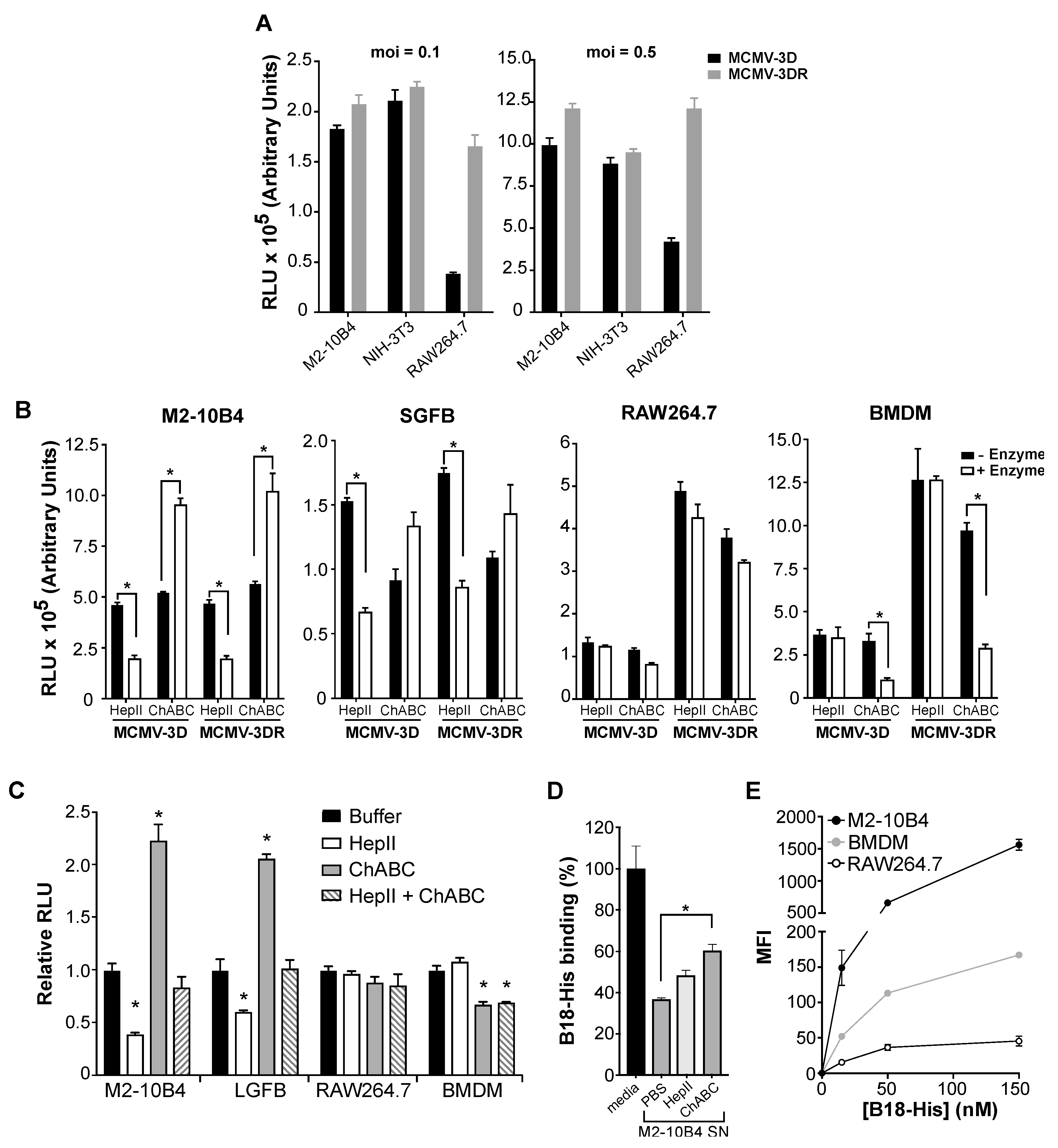 Viruses 12 00031 g001