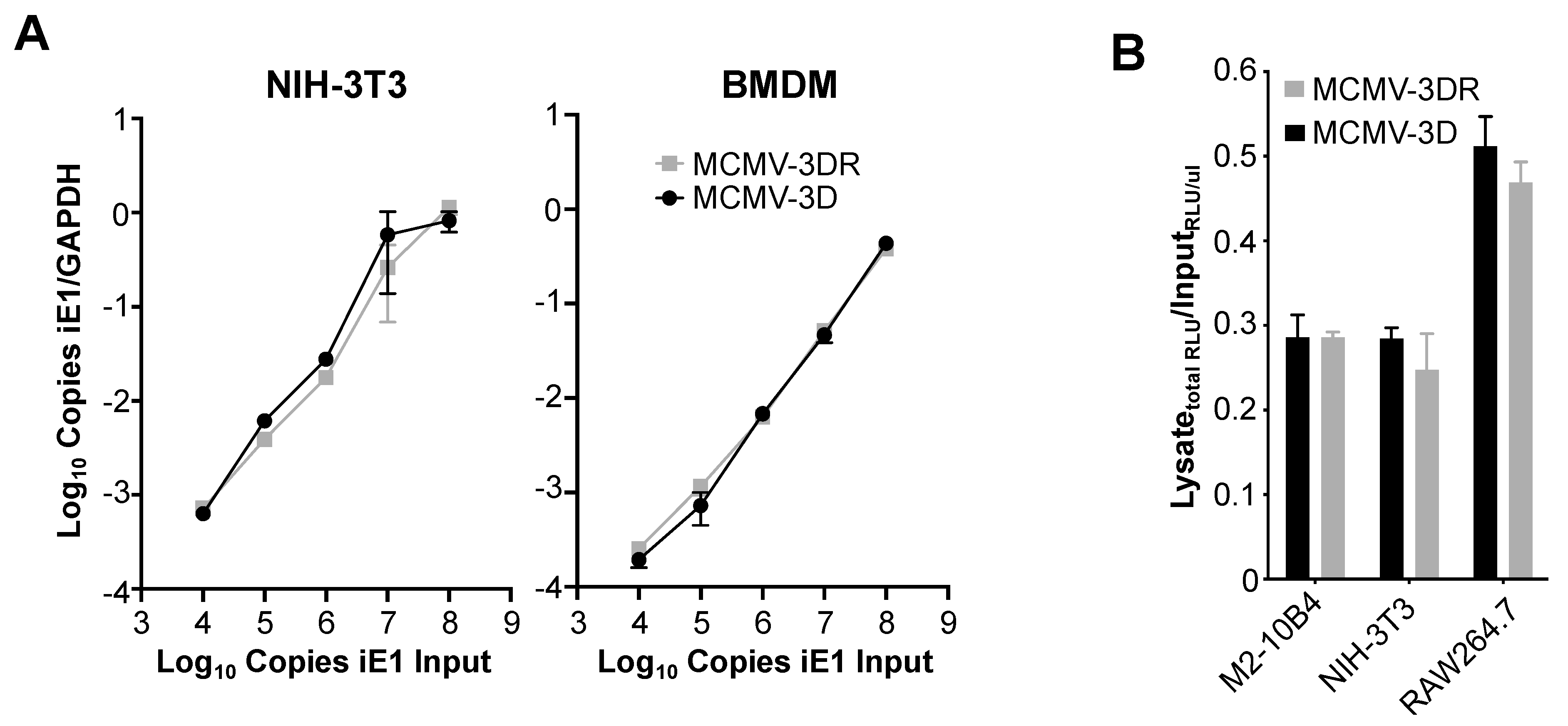 Viruses 12 00031 g003