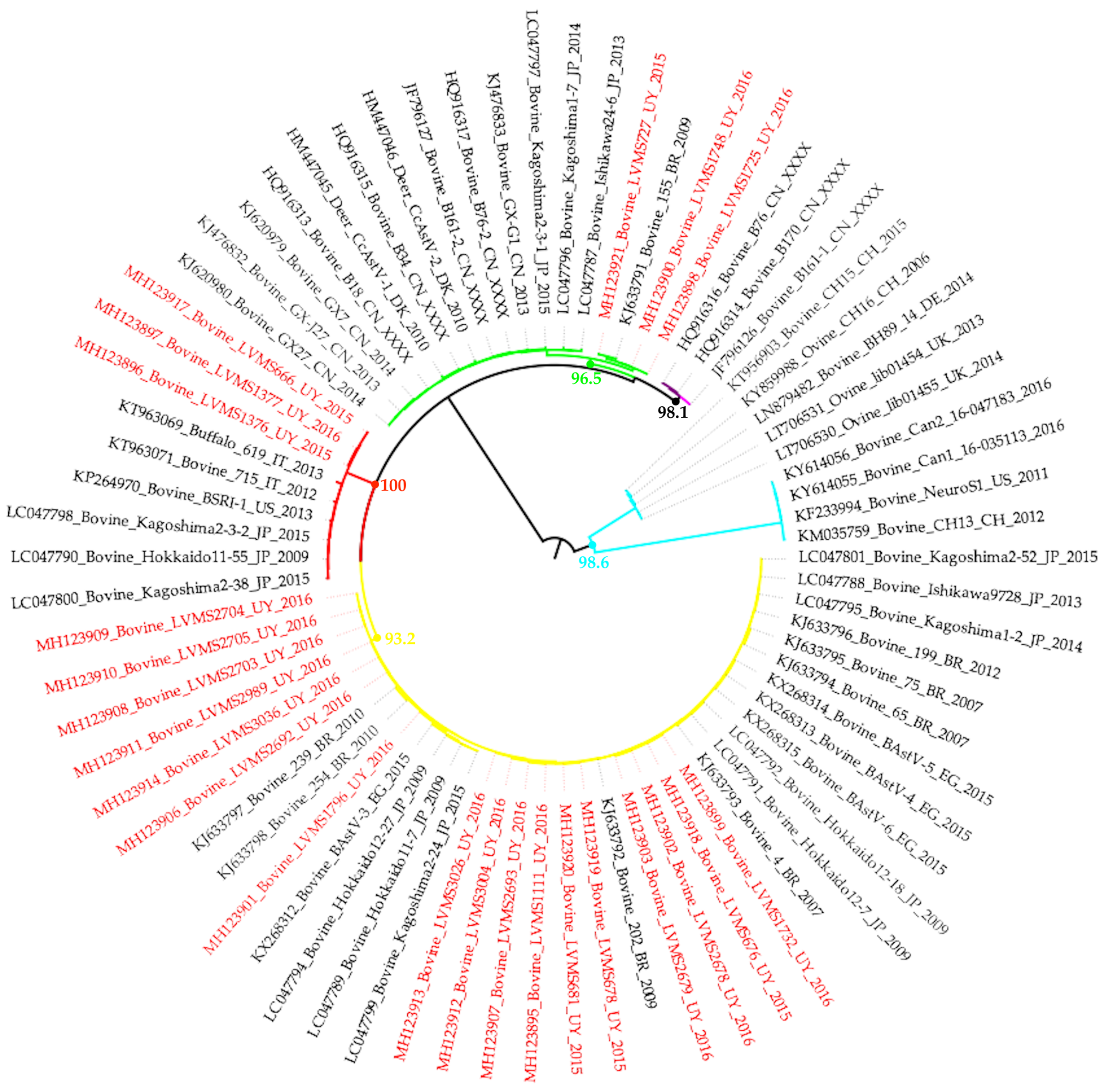 Viruses 12 00032 g001 Viruses 12 00032 g001