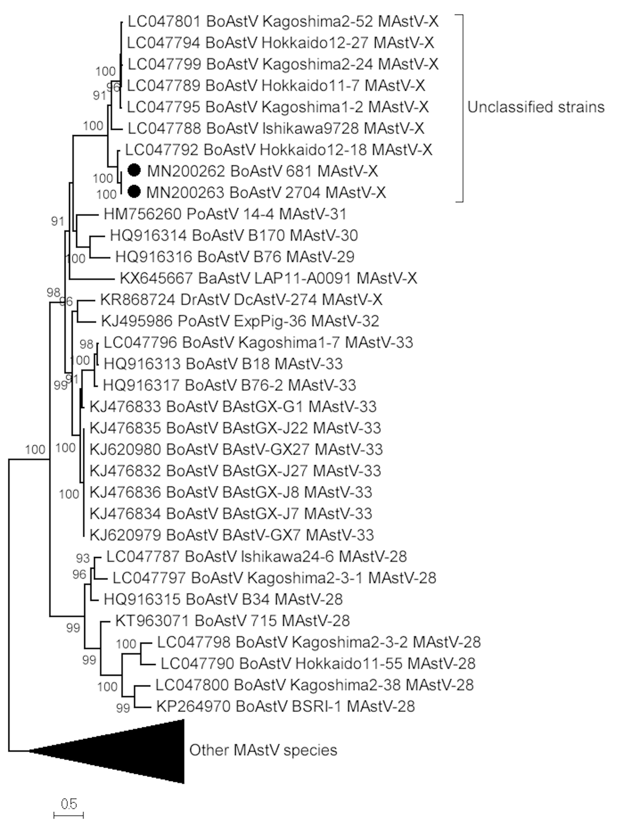 Viruses 12 00032 g002 Viruses 12 00032 g002