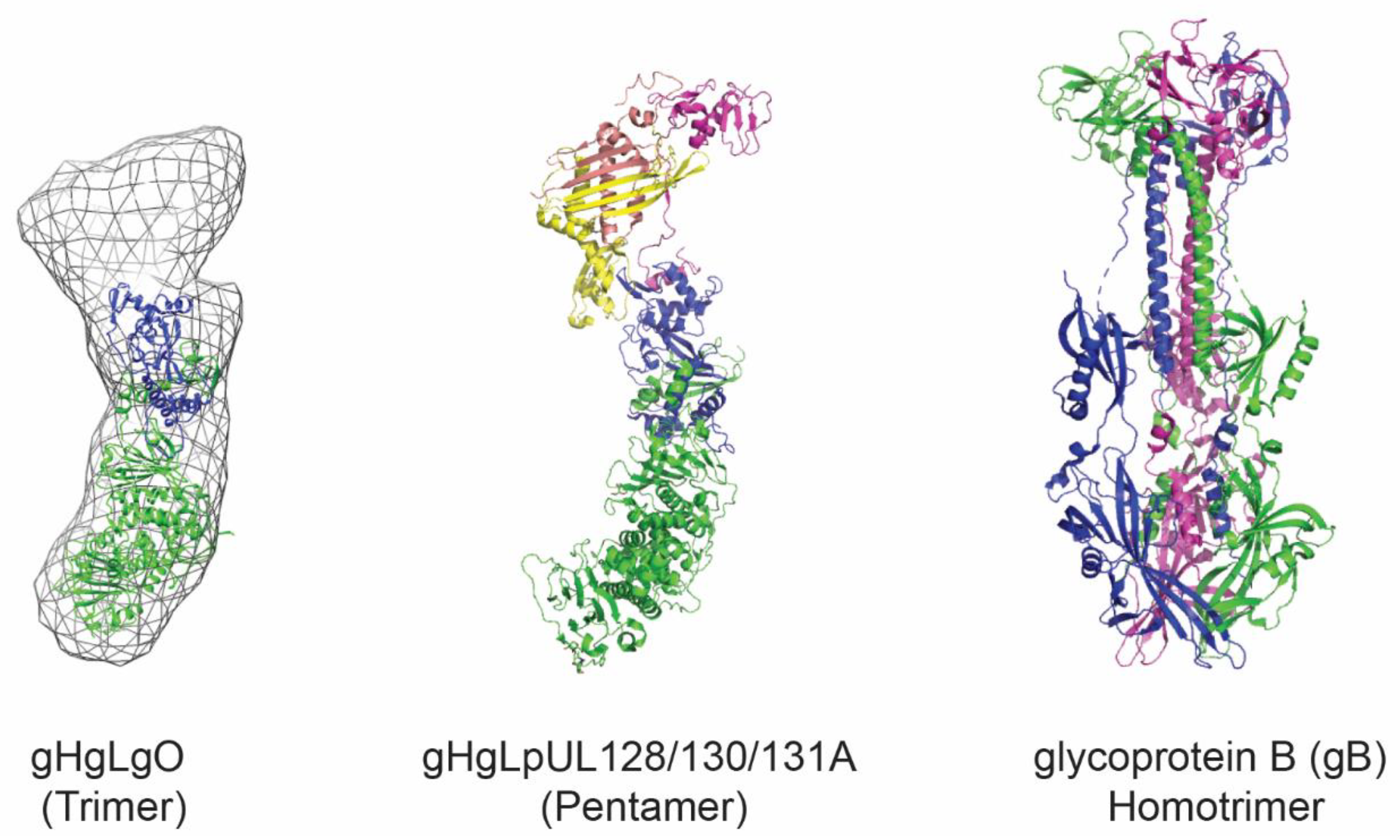 Viruses 12 00035 g001