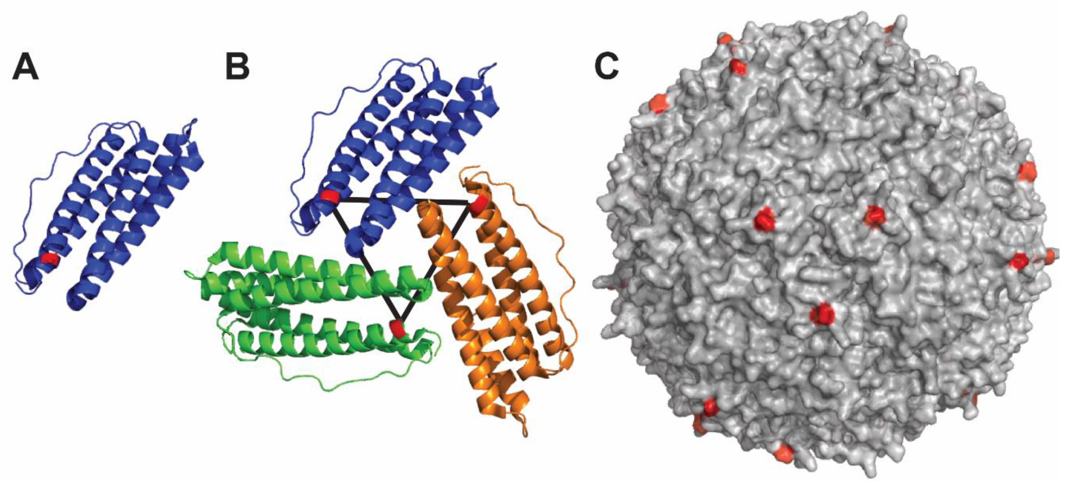 Viruses 12 00035 g003