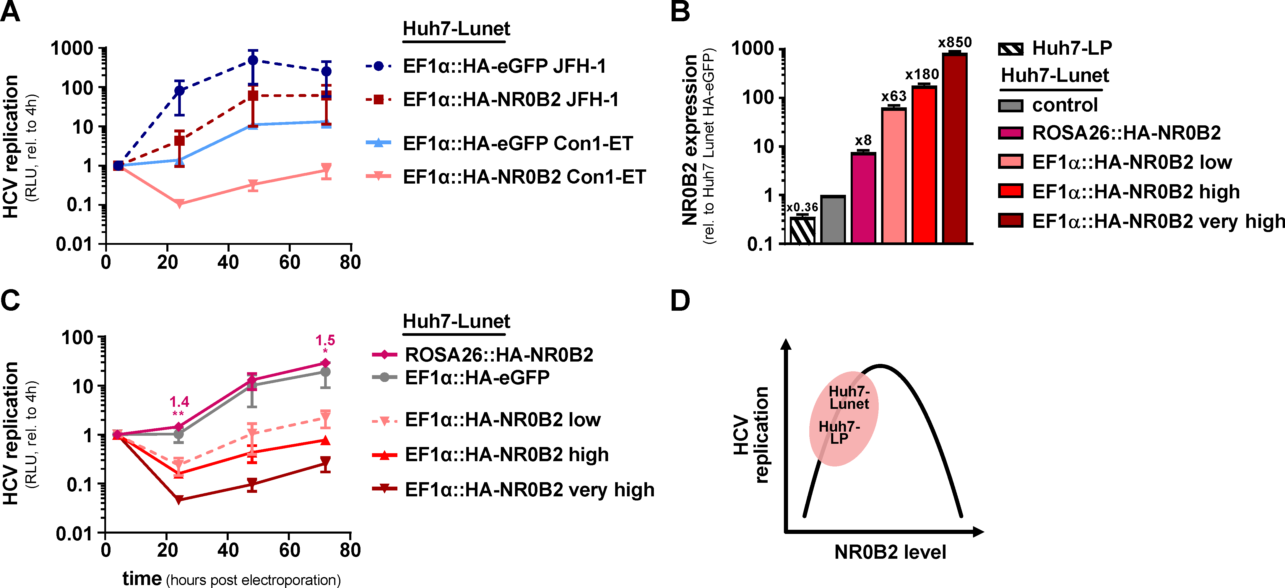 Viruses 12 00036 g006 Viruses 12 00036 g006