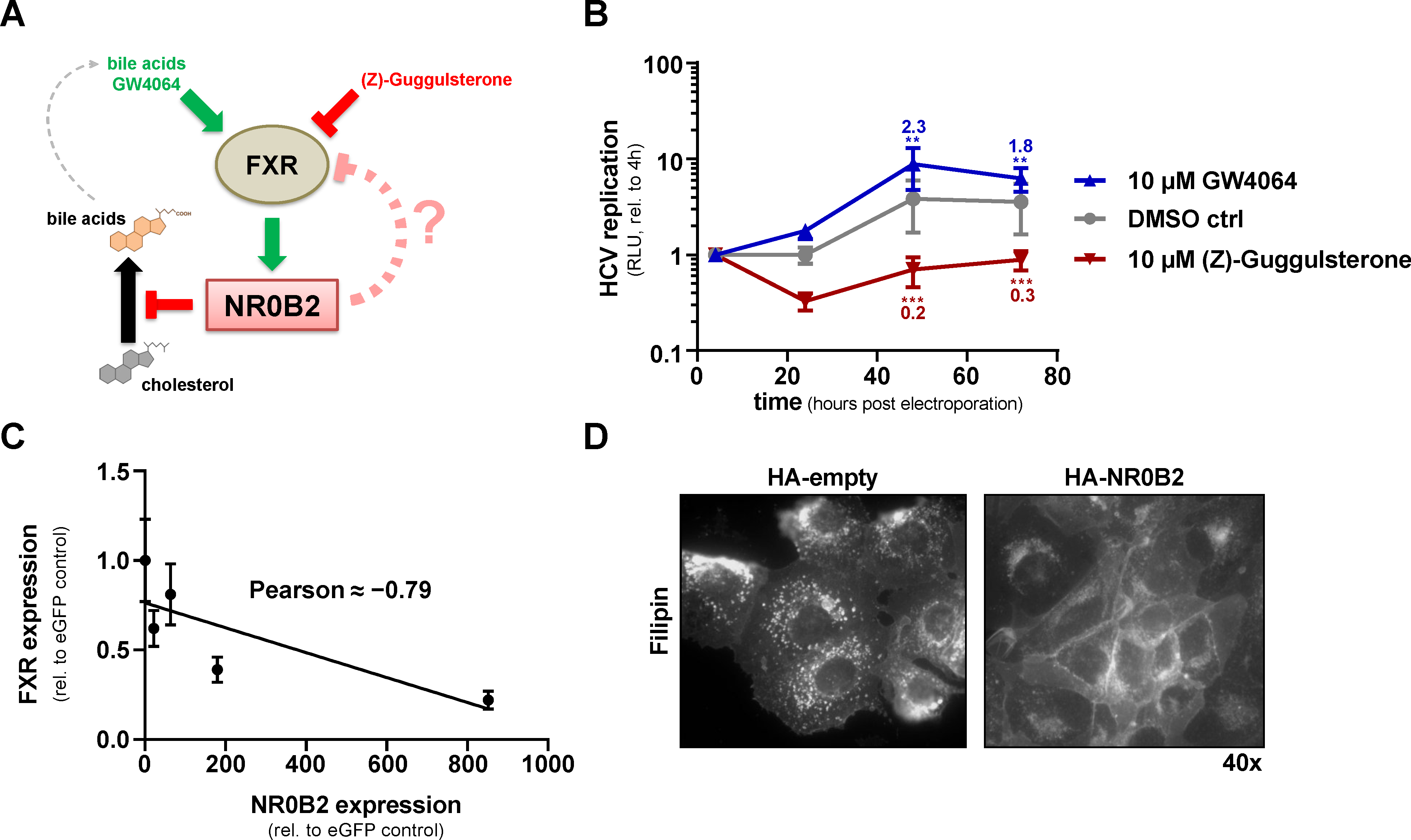 Viruses 12 00036 g008 Viruses 12 00036 g008