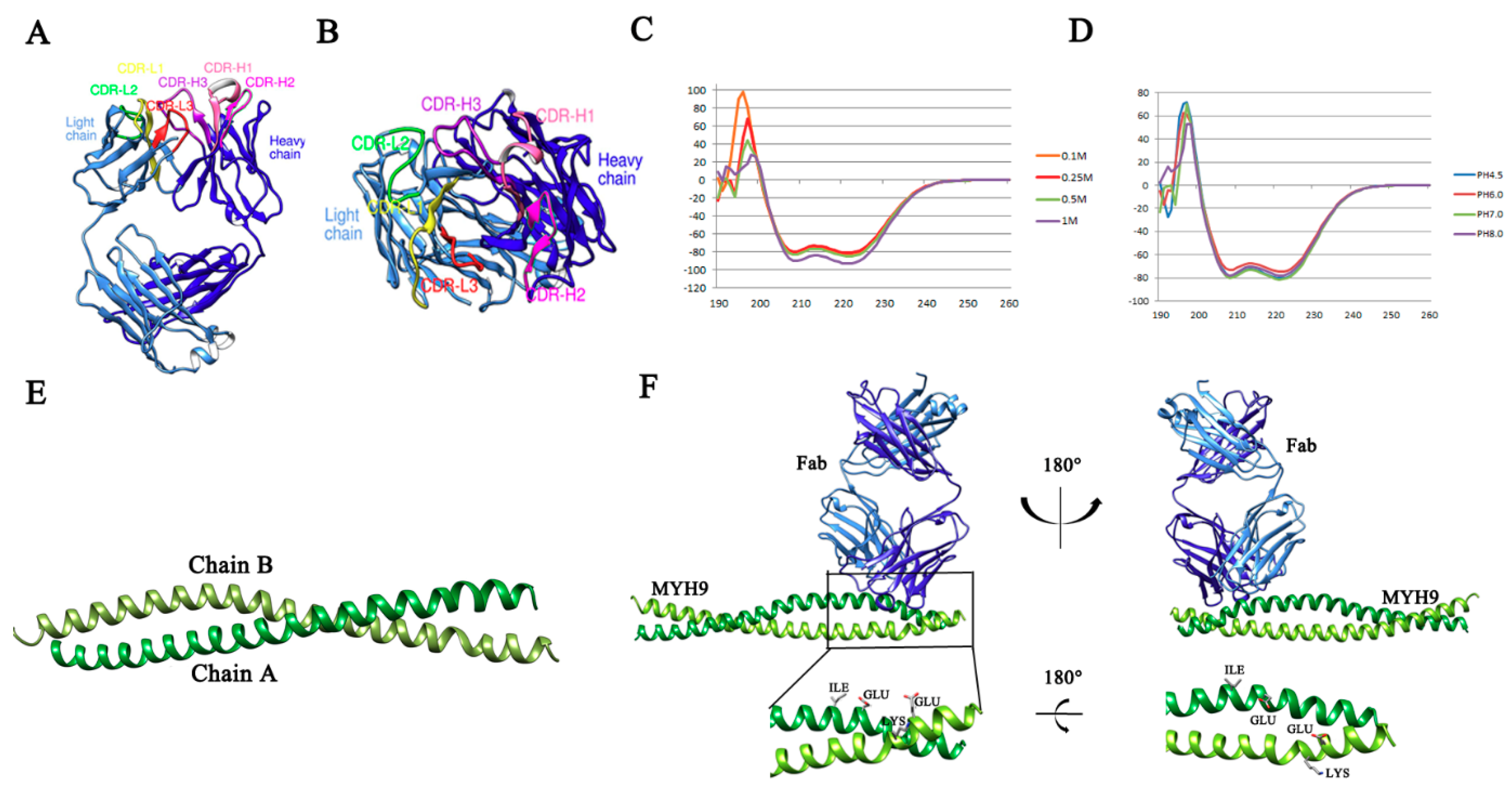 Viruses 12 00040 g002