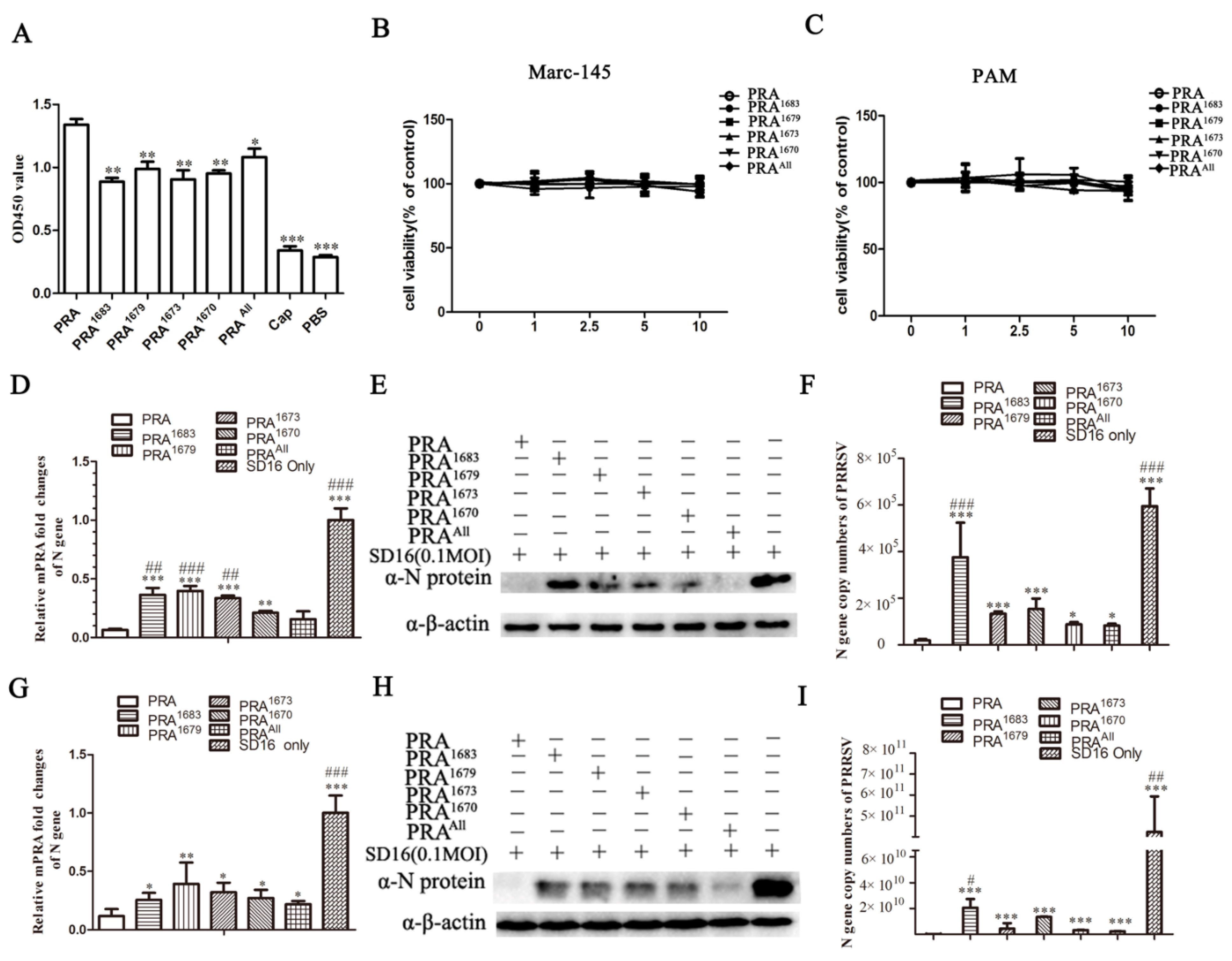 Viruses 12 00040 g006