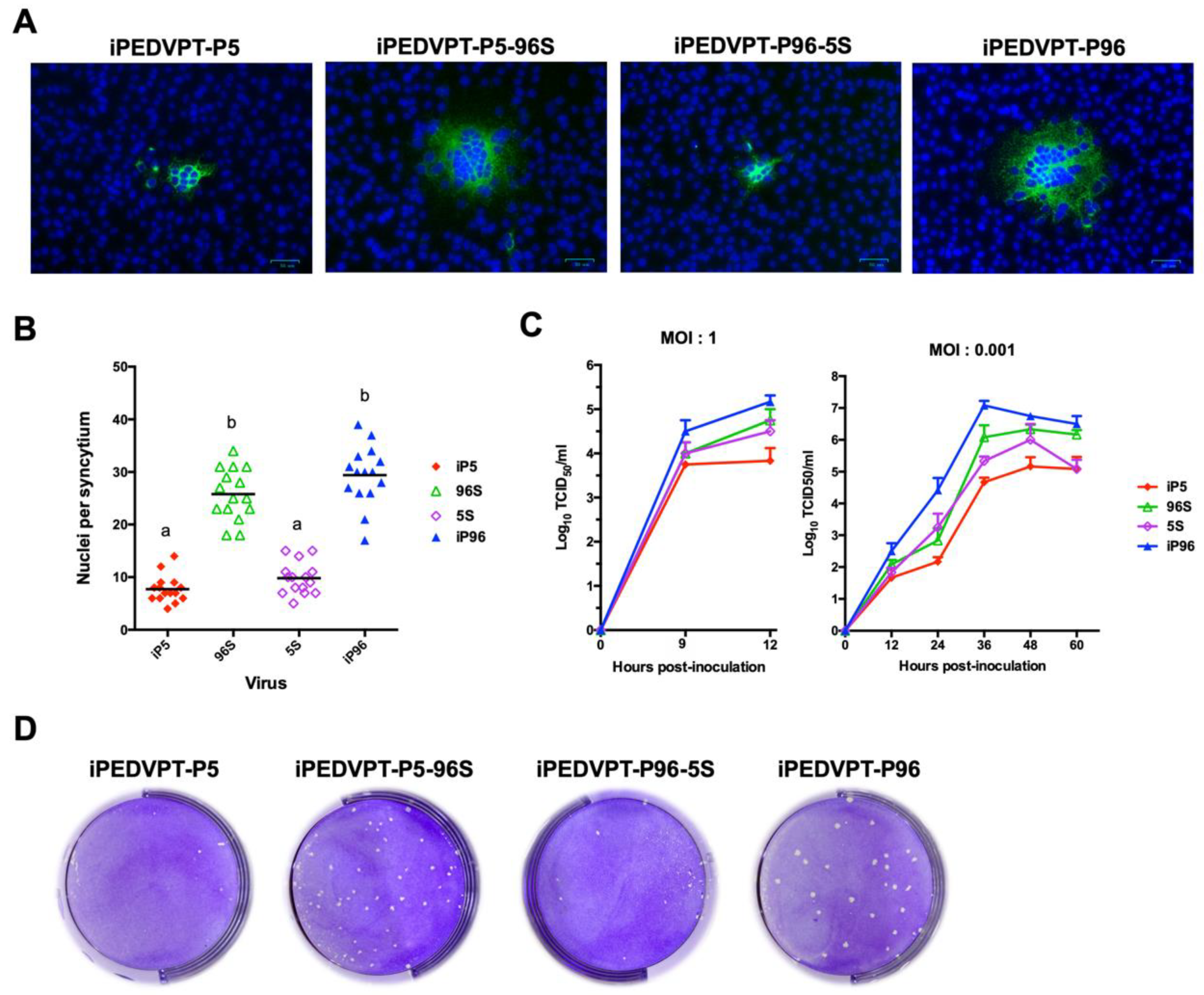 Viruses 12 00041 g001 Viruses 12 00041 g001