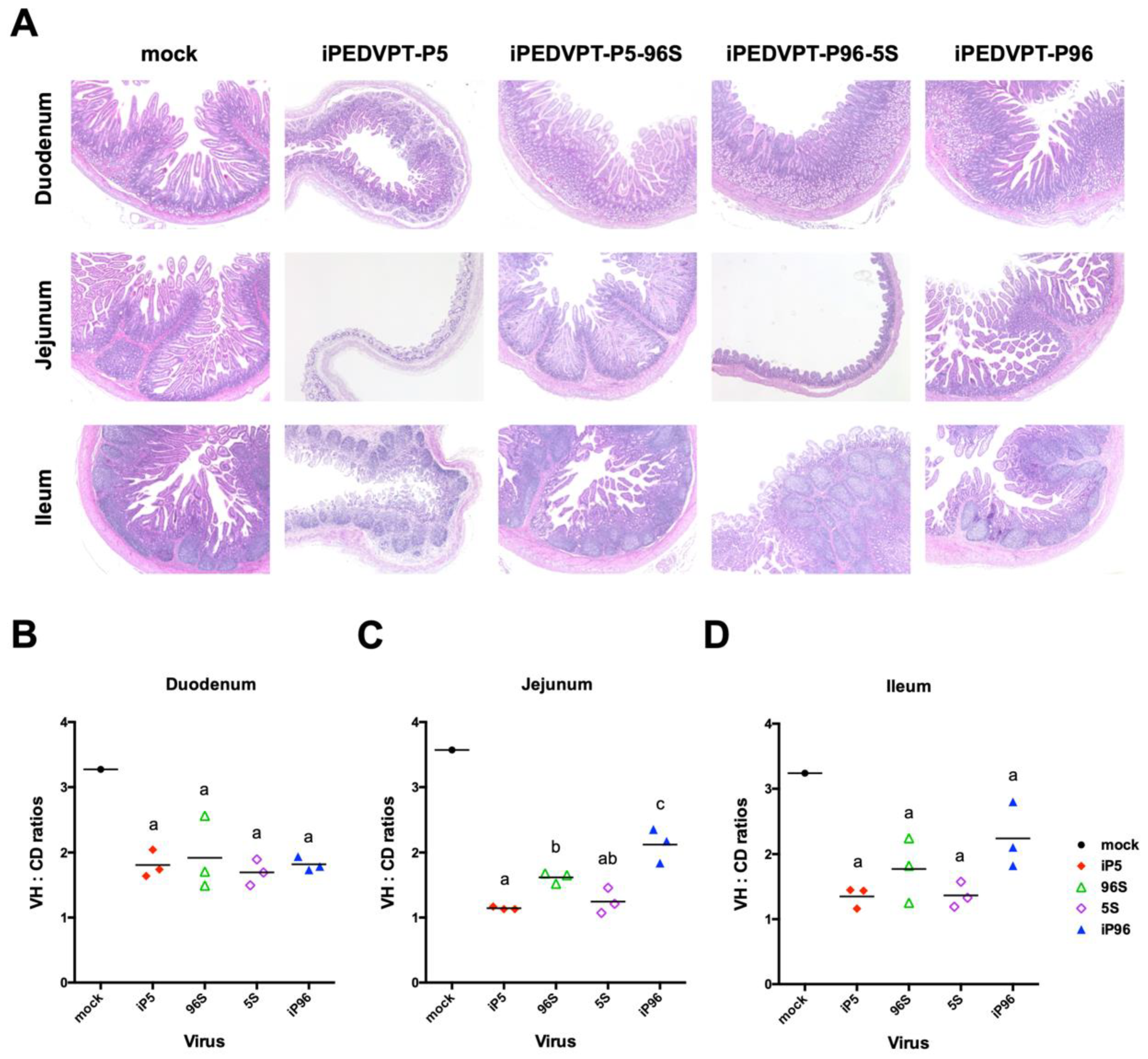 Viruses 12 00041 g003 Viruses 12 00041 g003