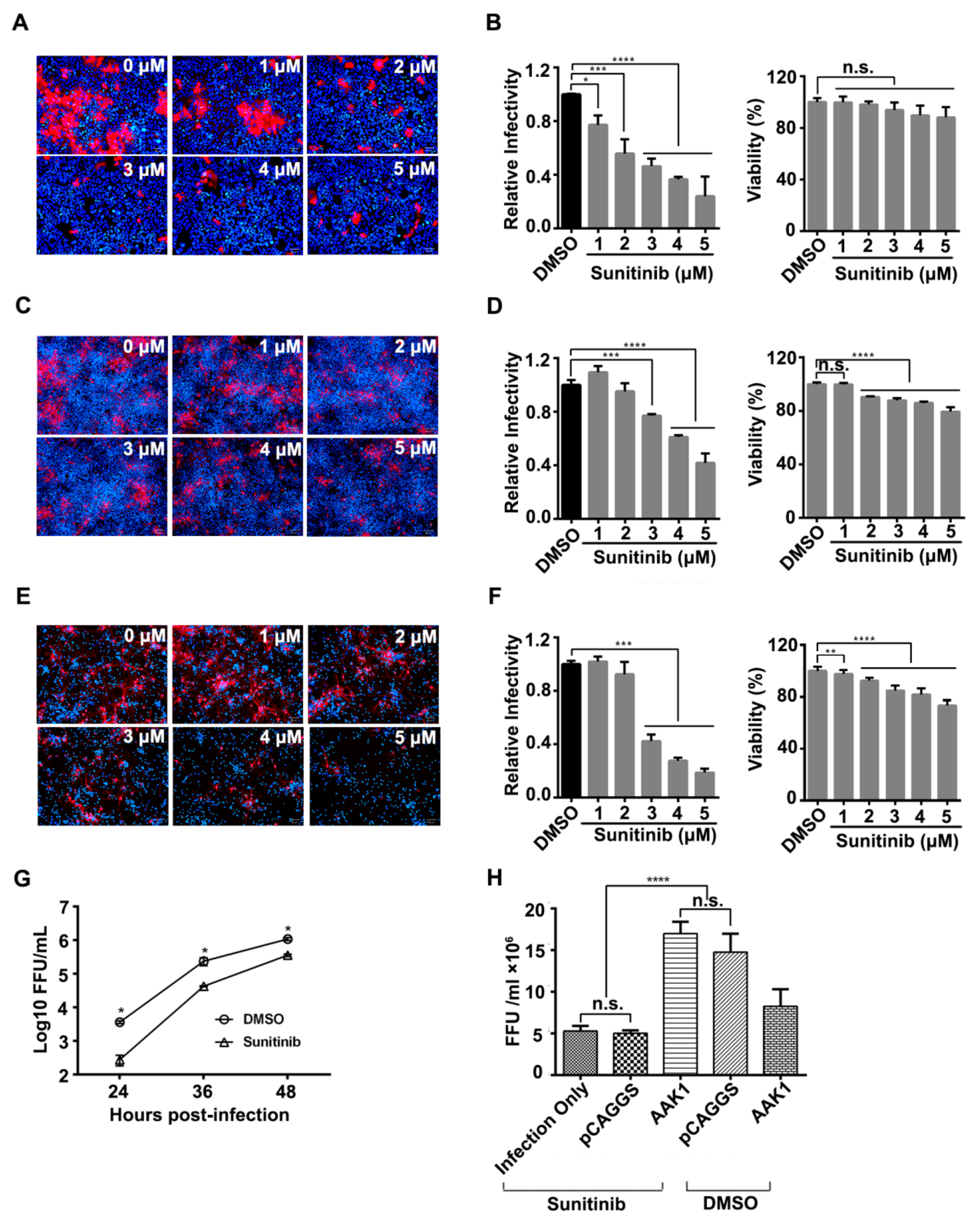 Viruses 12 00045 g002 Viruses 12 00045 g002
