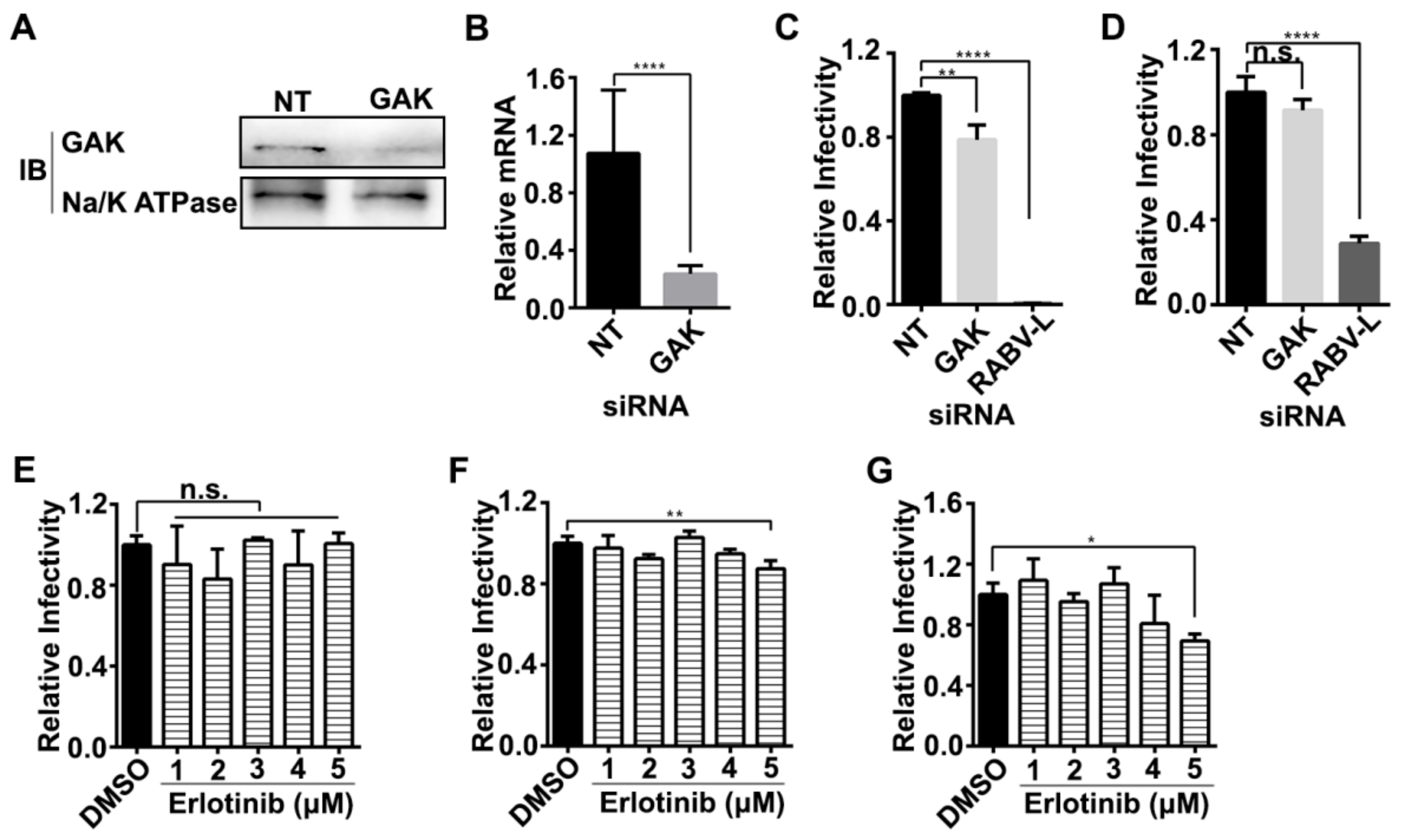 Viruses 12 00045 g004 Viruses 12 00045 g004