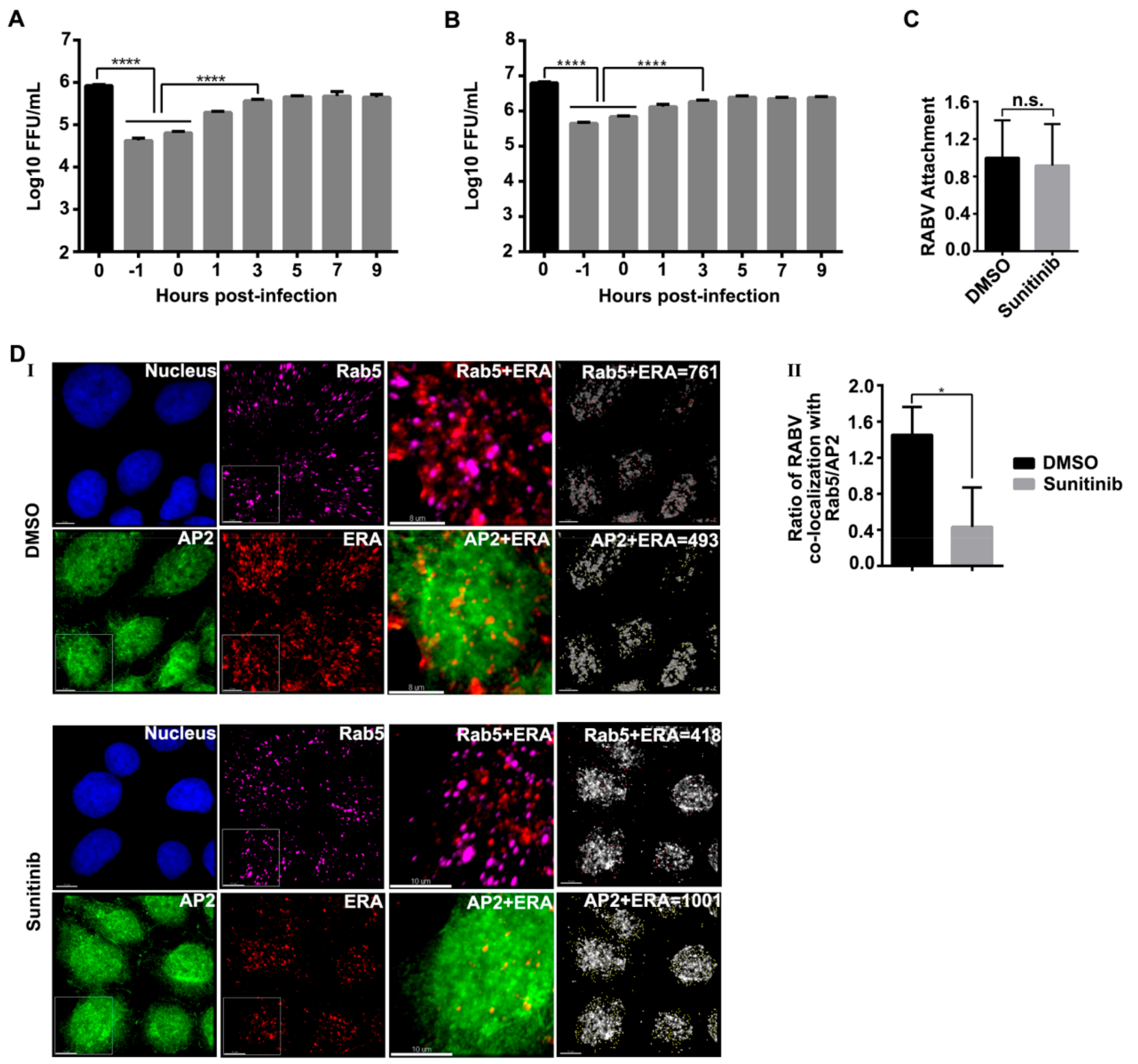 Viruses 12 00045 g005 Viruses 12 00045 g005