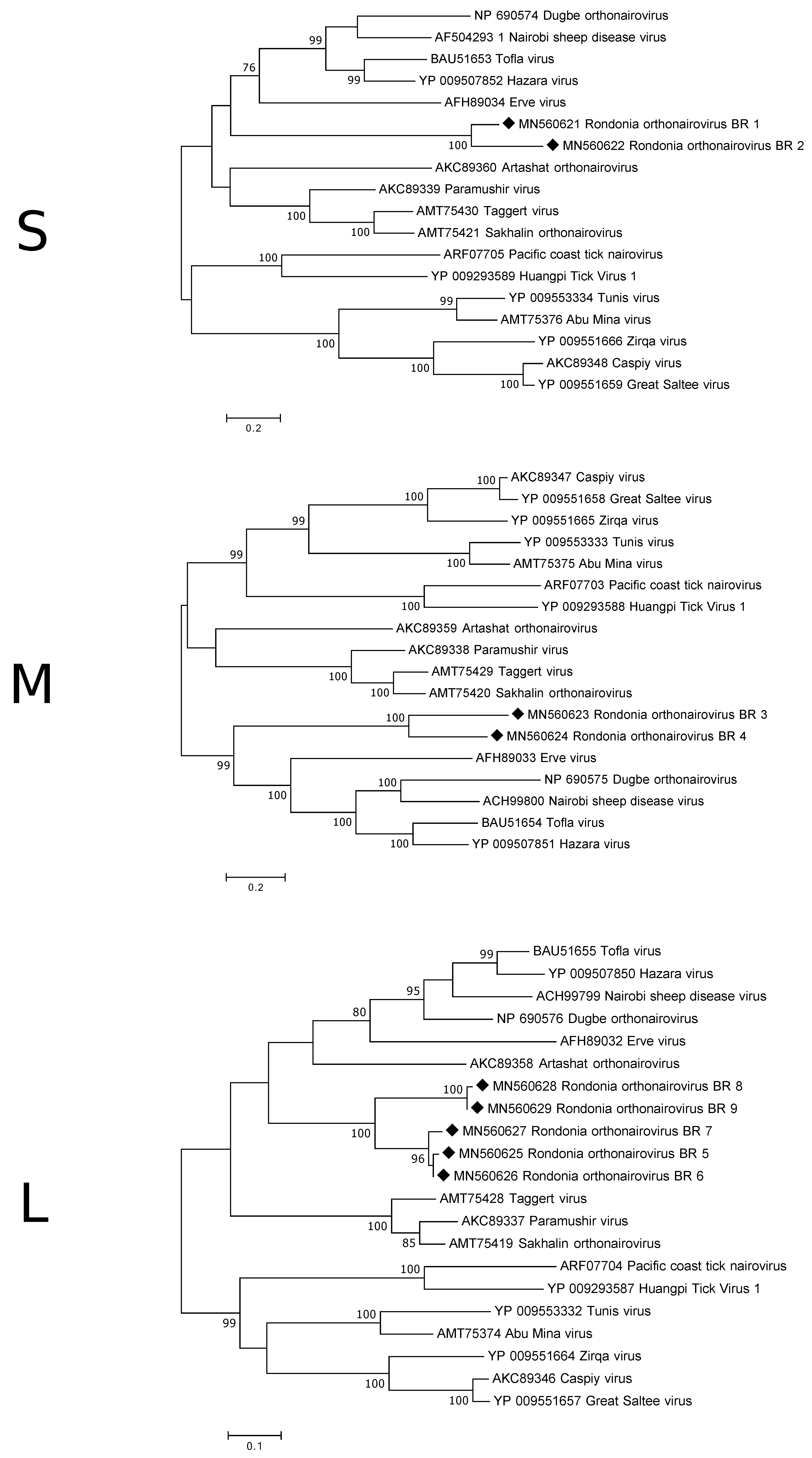 Viruses 12 00048 g002 Viruses 12 00048 g002