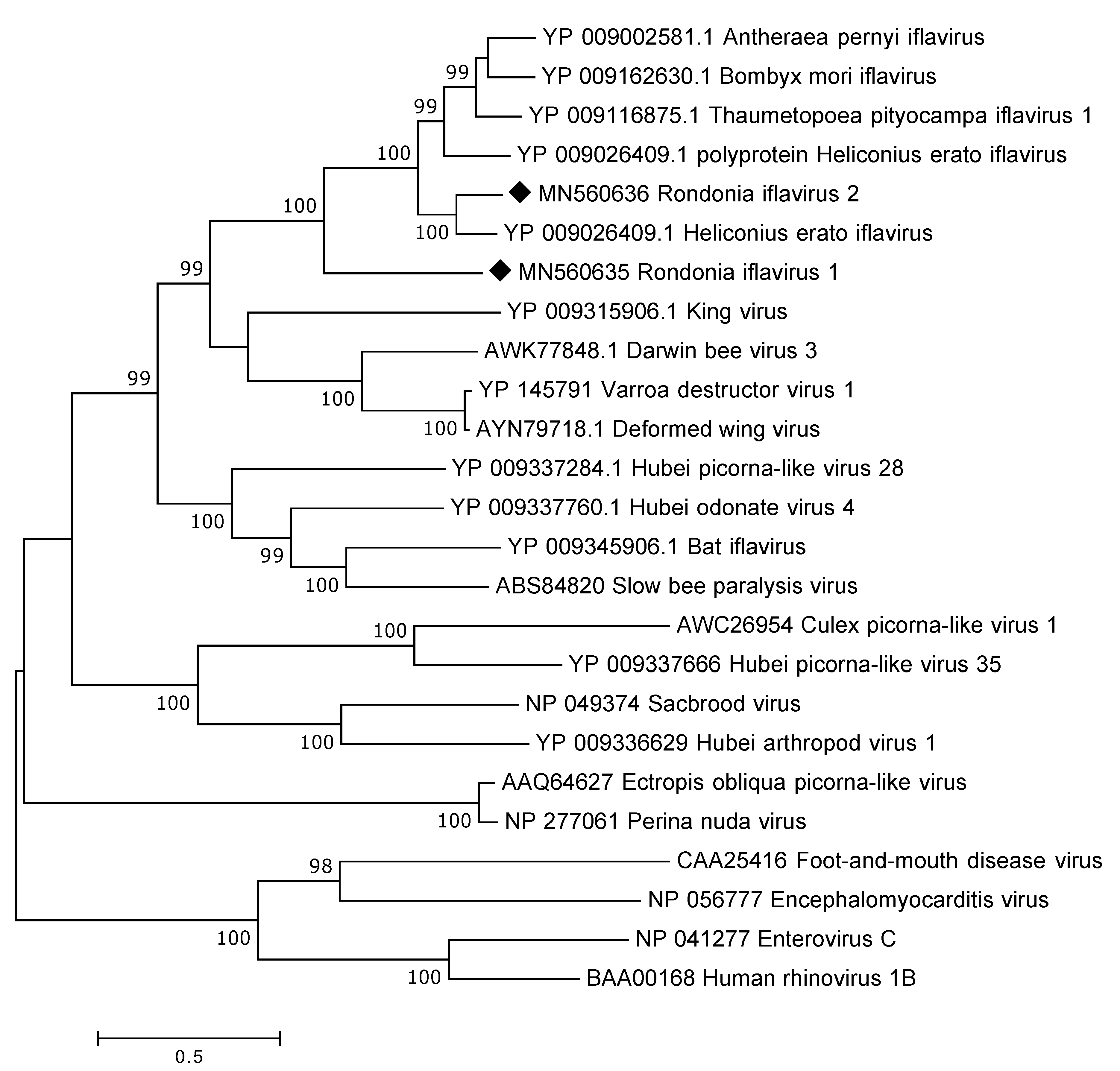 Viruses 12 00048 g005 Viruses 12 00048 g005