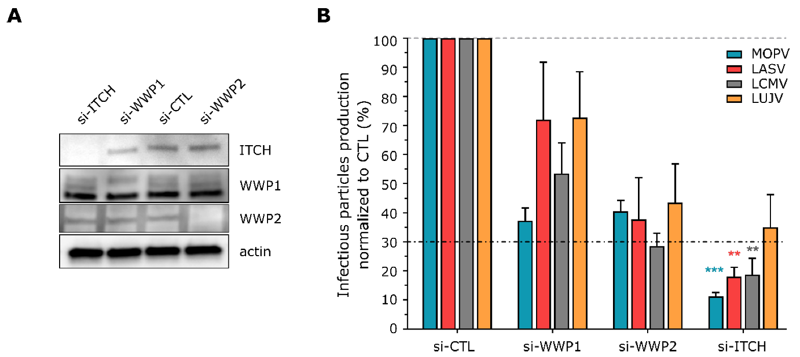 Viruses 12 00049 g001